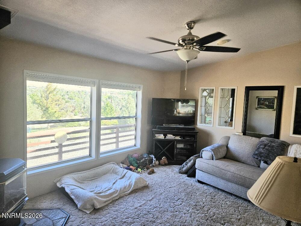 3715 Ballman Way Property Photo 20