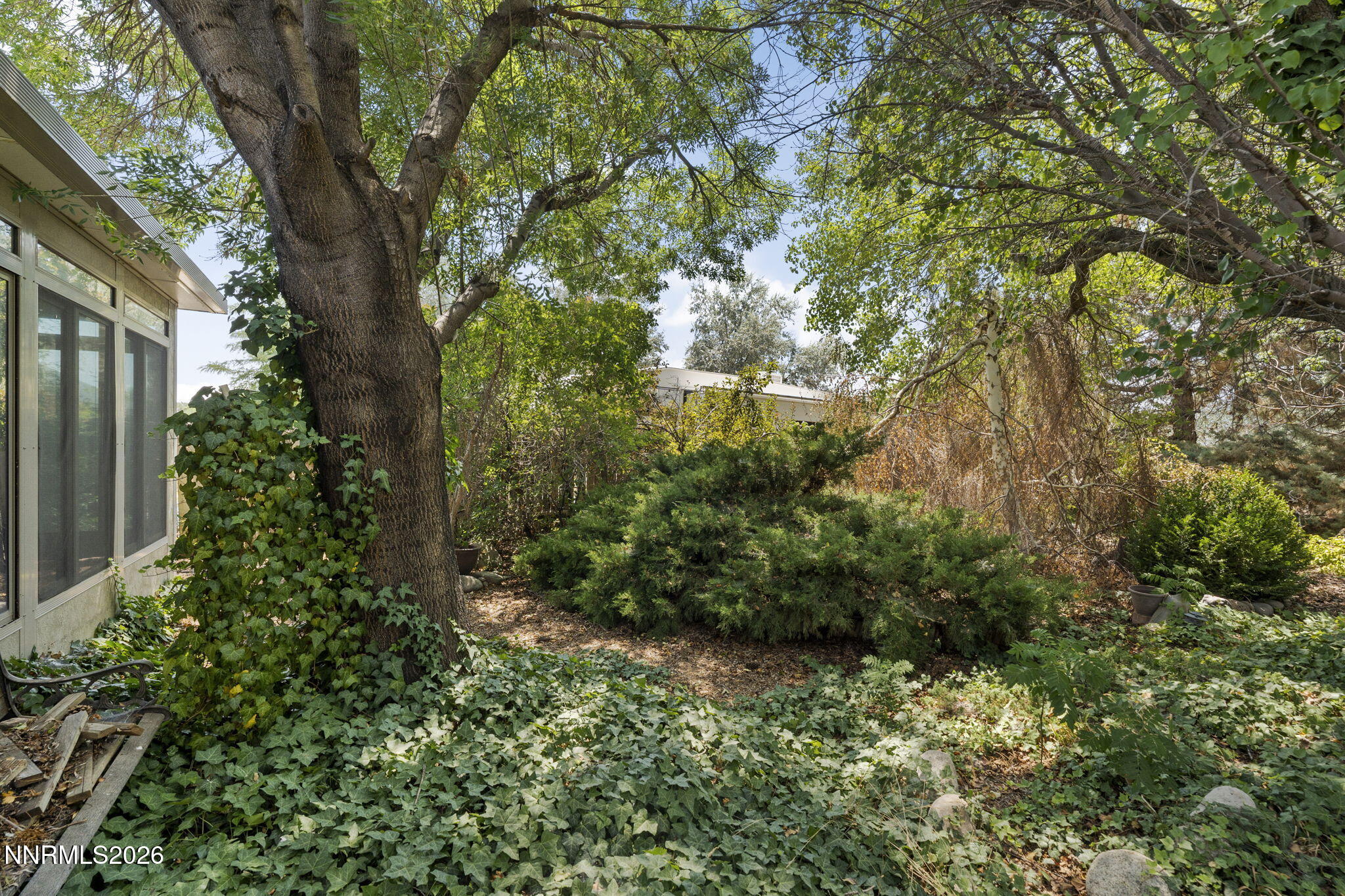 198 Desert Rose Drive Property Photo 34