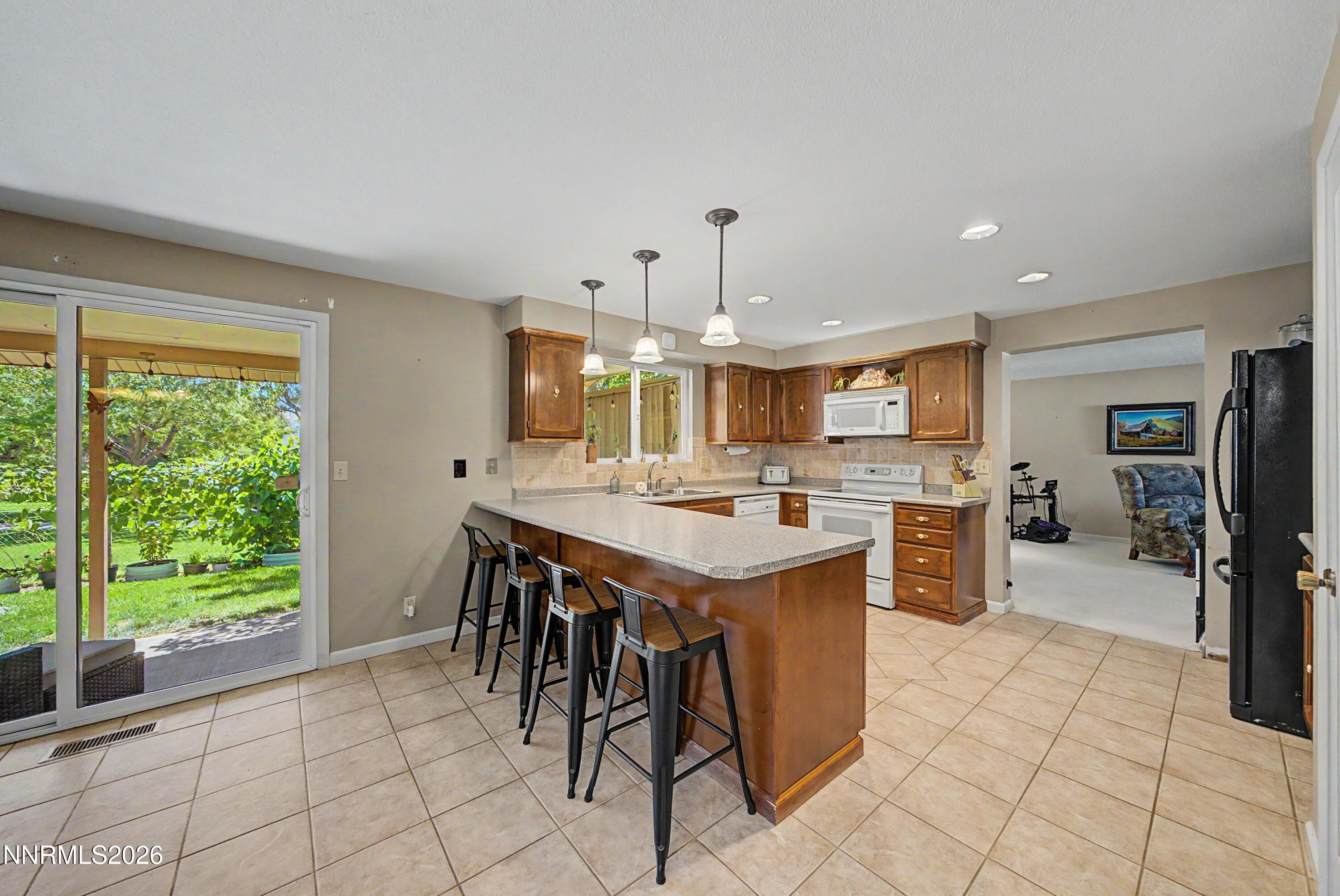 3164 Clan Alpine Drive Property Photo 6