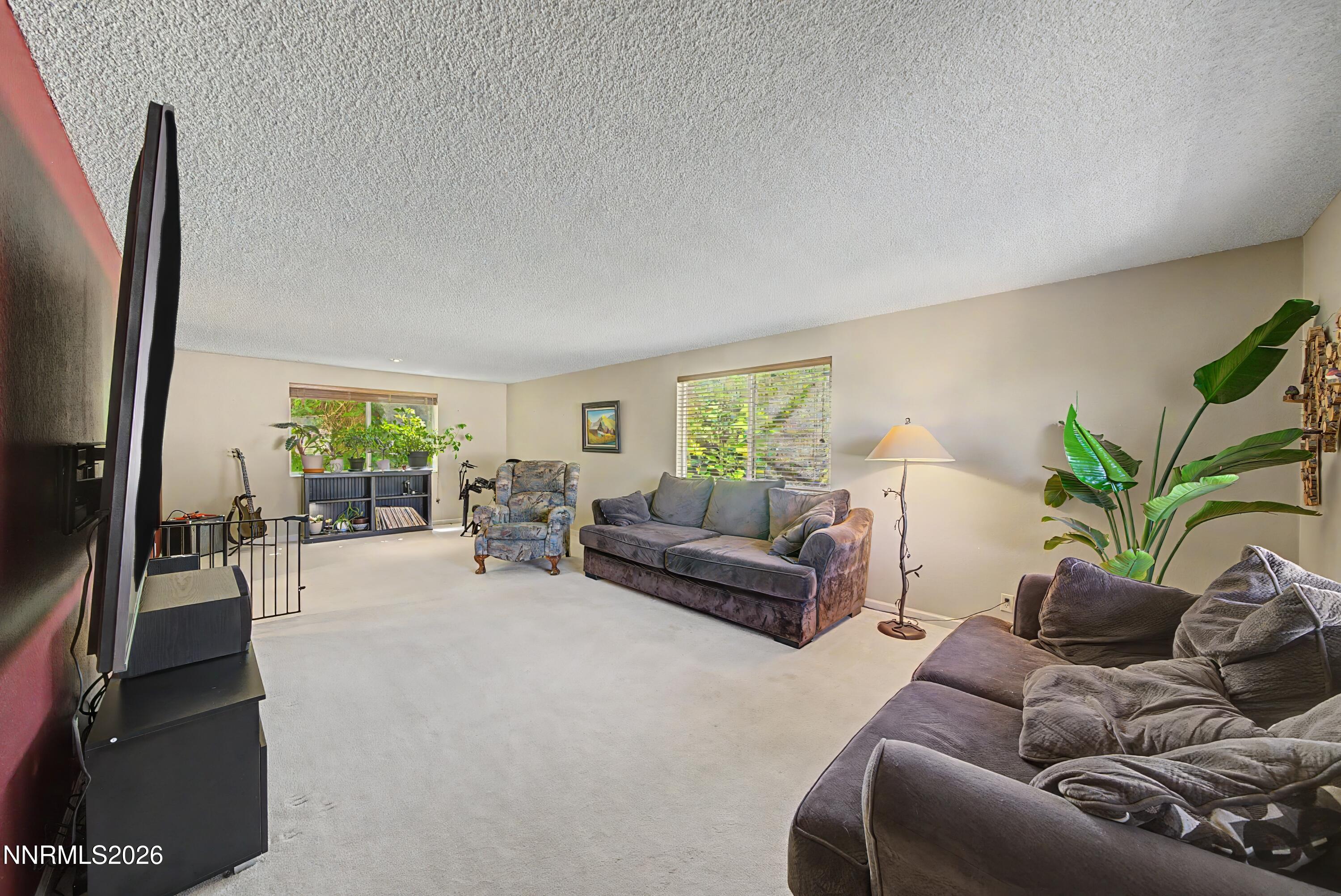 3164 Clan Alpine Drive Property Photo 17