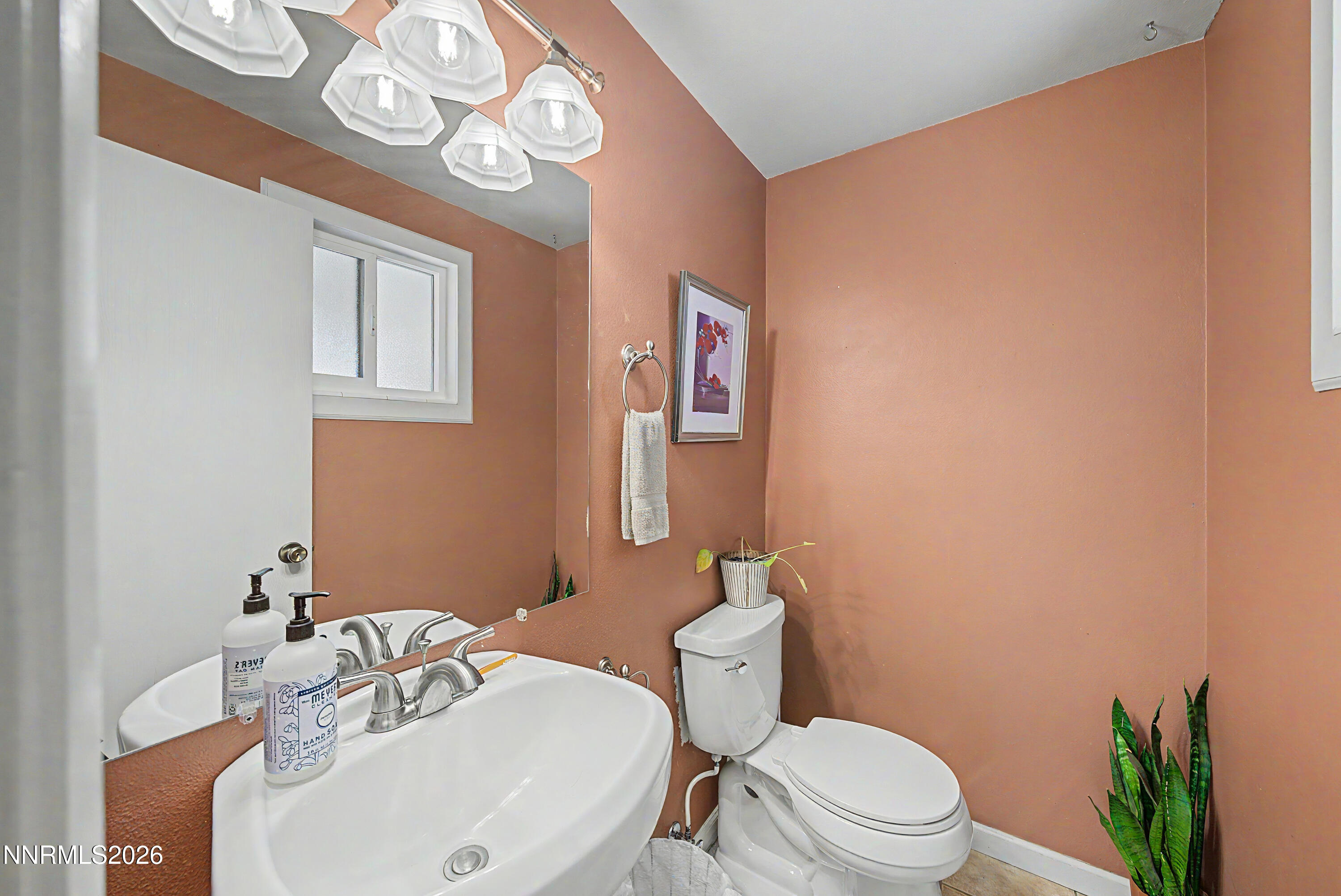 3164 Clan Alpine Drive Property Photo 21
