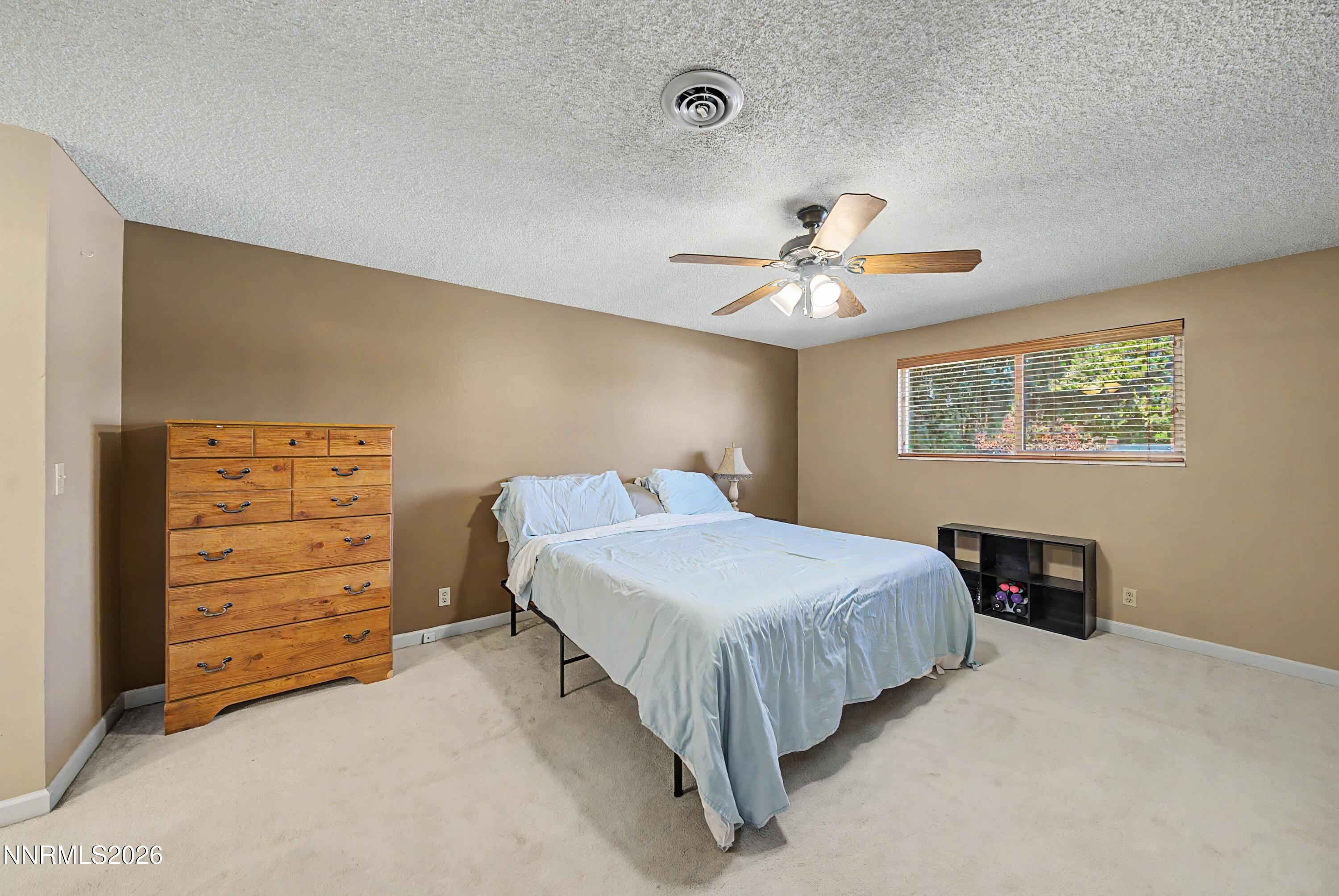3164 Clan Alpine Drive Property Photo 45