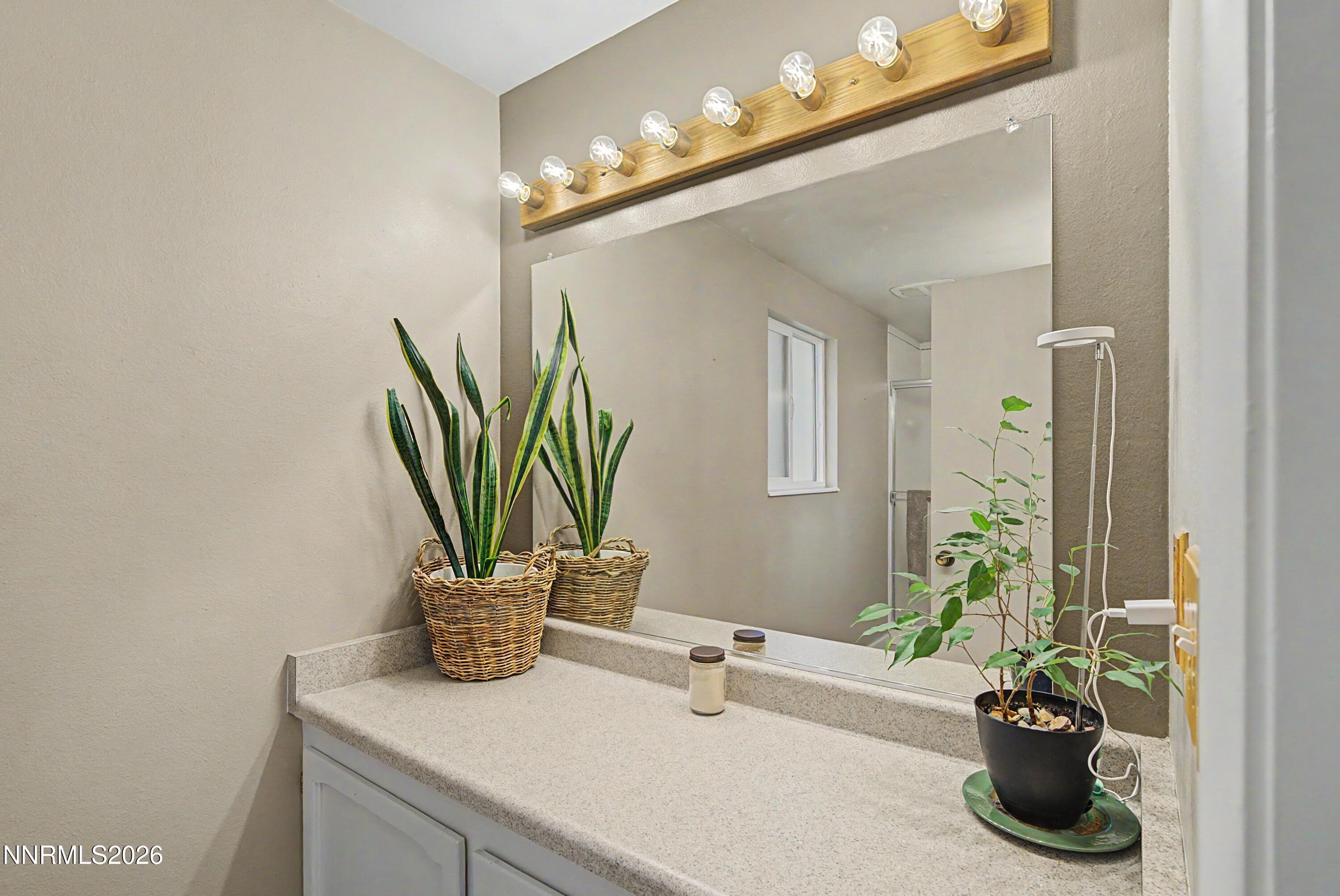 3164 Clan Alpine Drive Property Photo 46