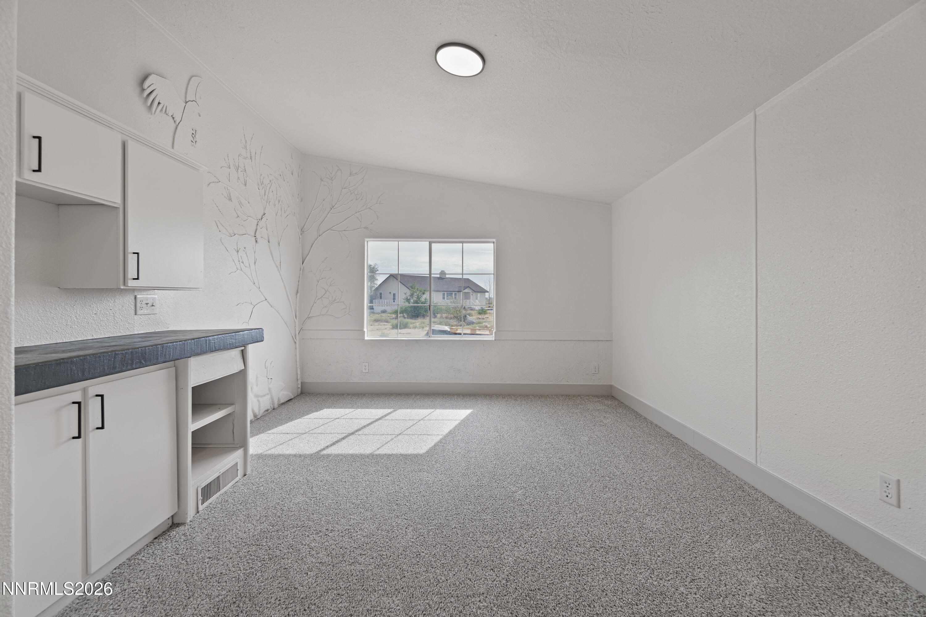1230 E Badger Street Property Photo 23