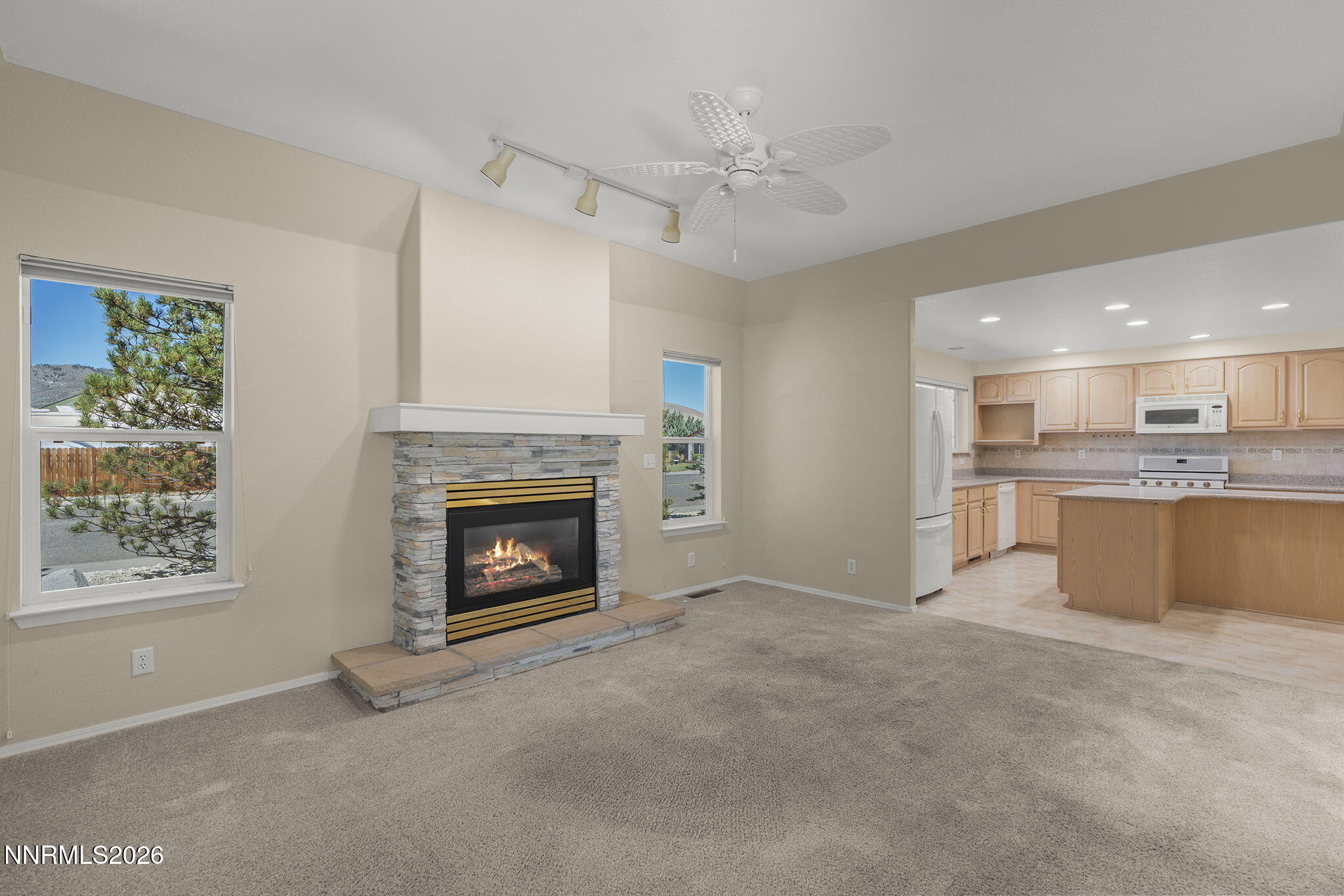 1021 Ridgeview Court Property Photo 17