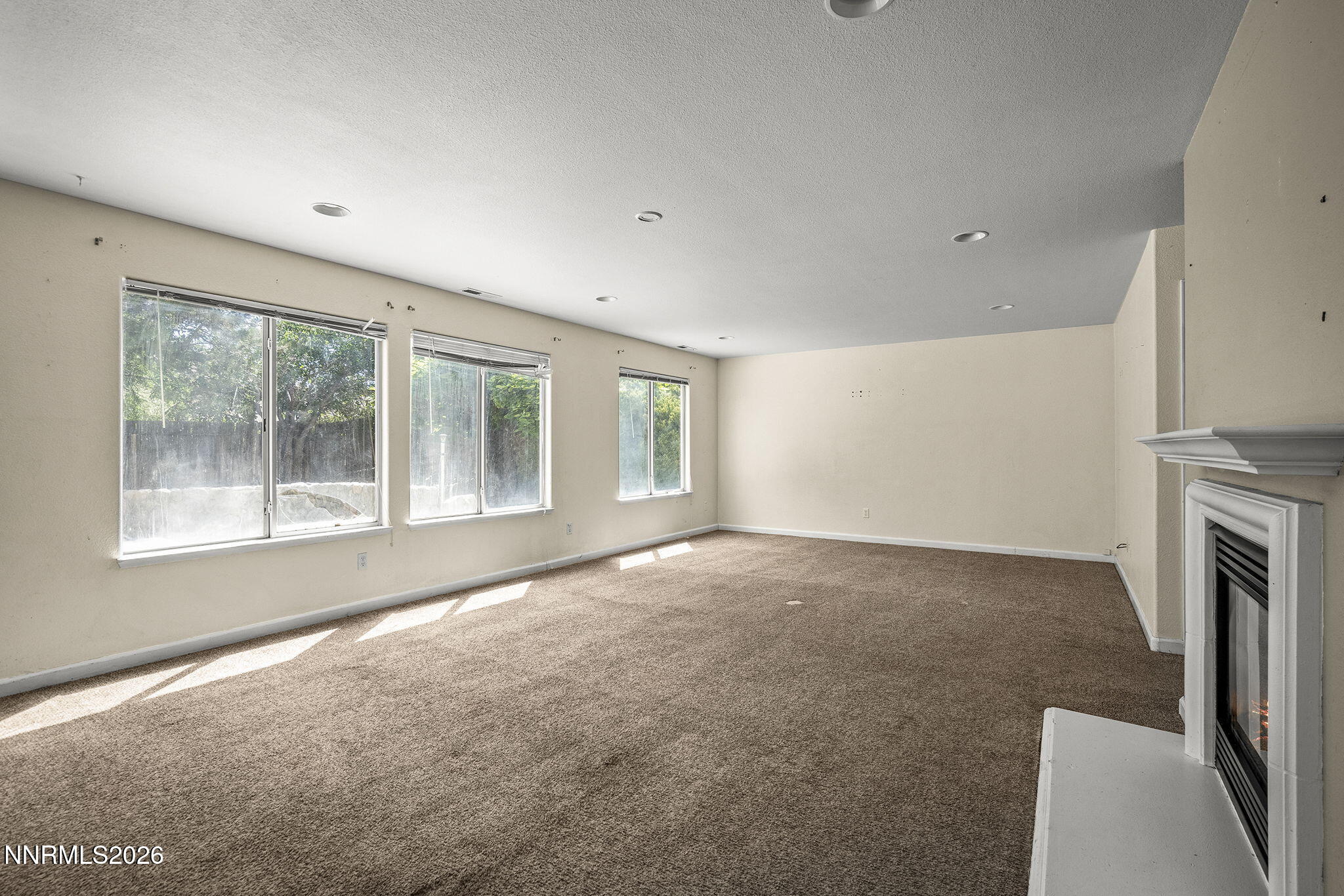 11560 Claim Stake Drive Property Photo 12