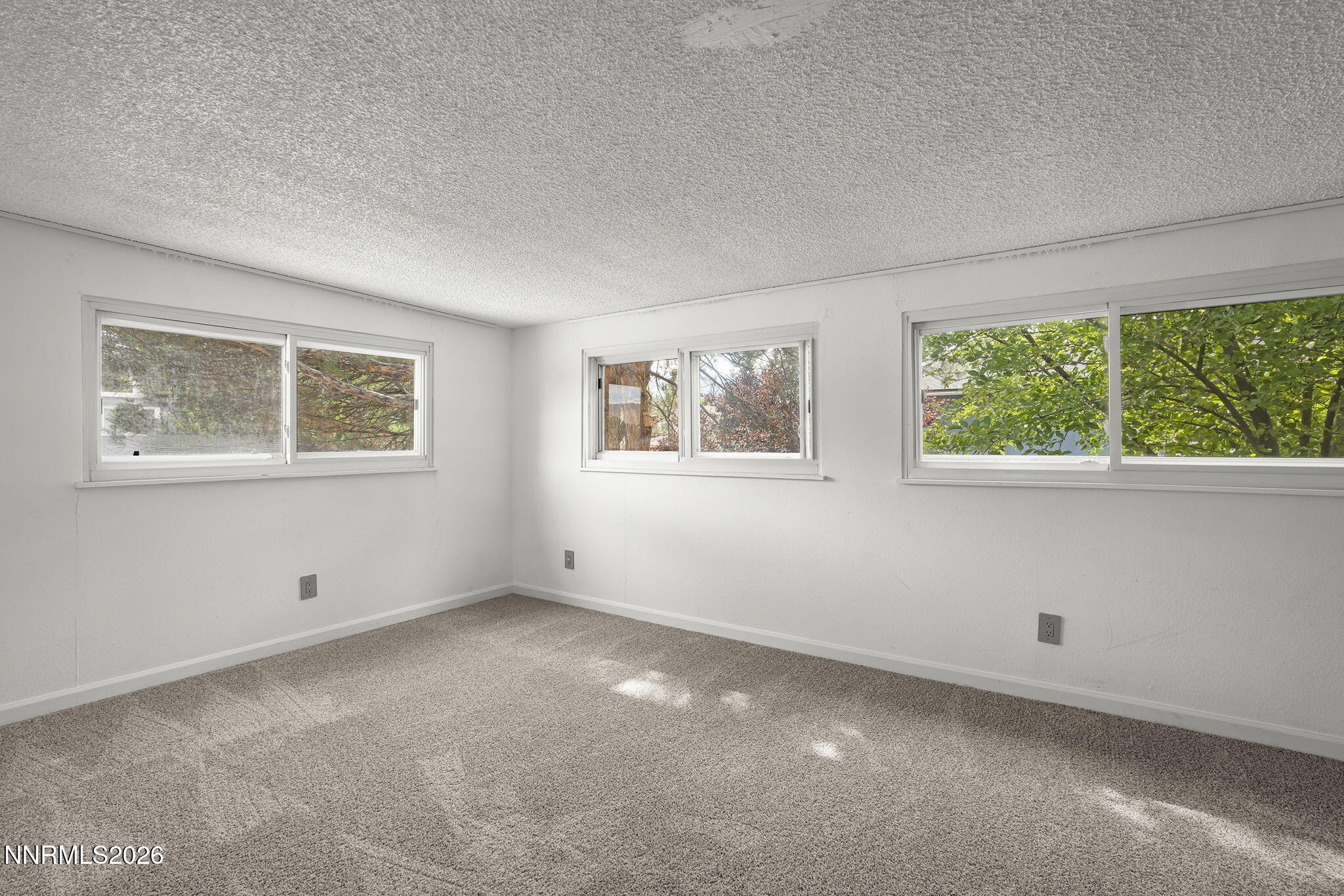 1125 E Huffaker Lane Property Photo 34