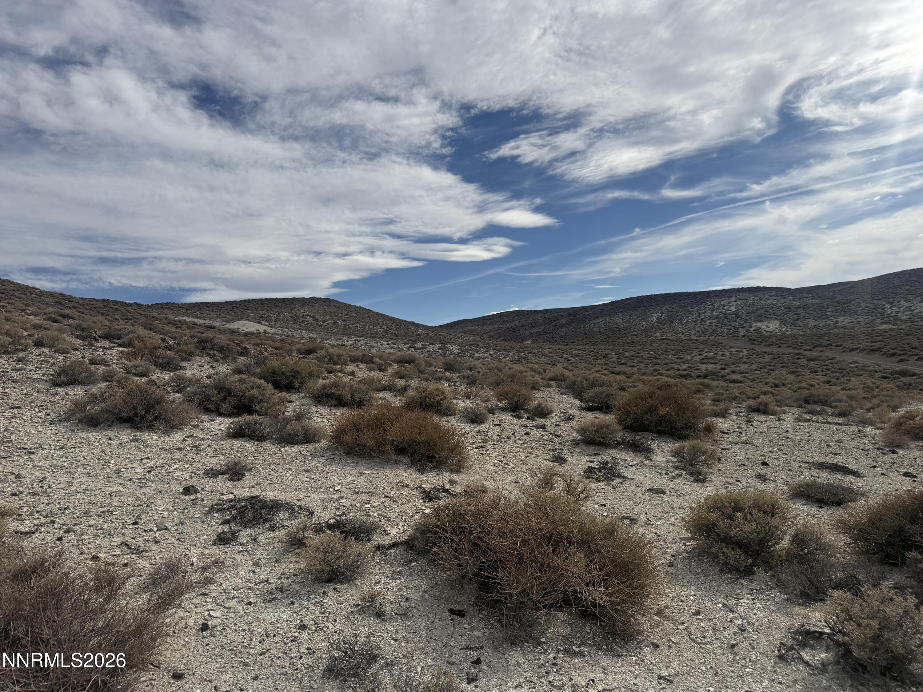 02144110 Parcel Property Photo 4