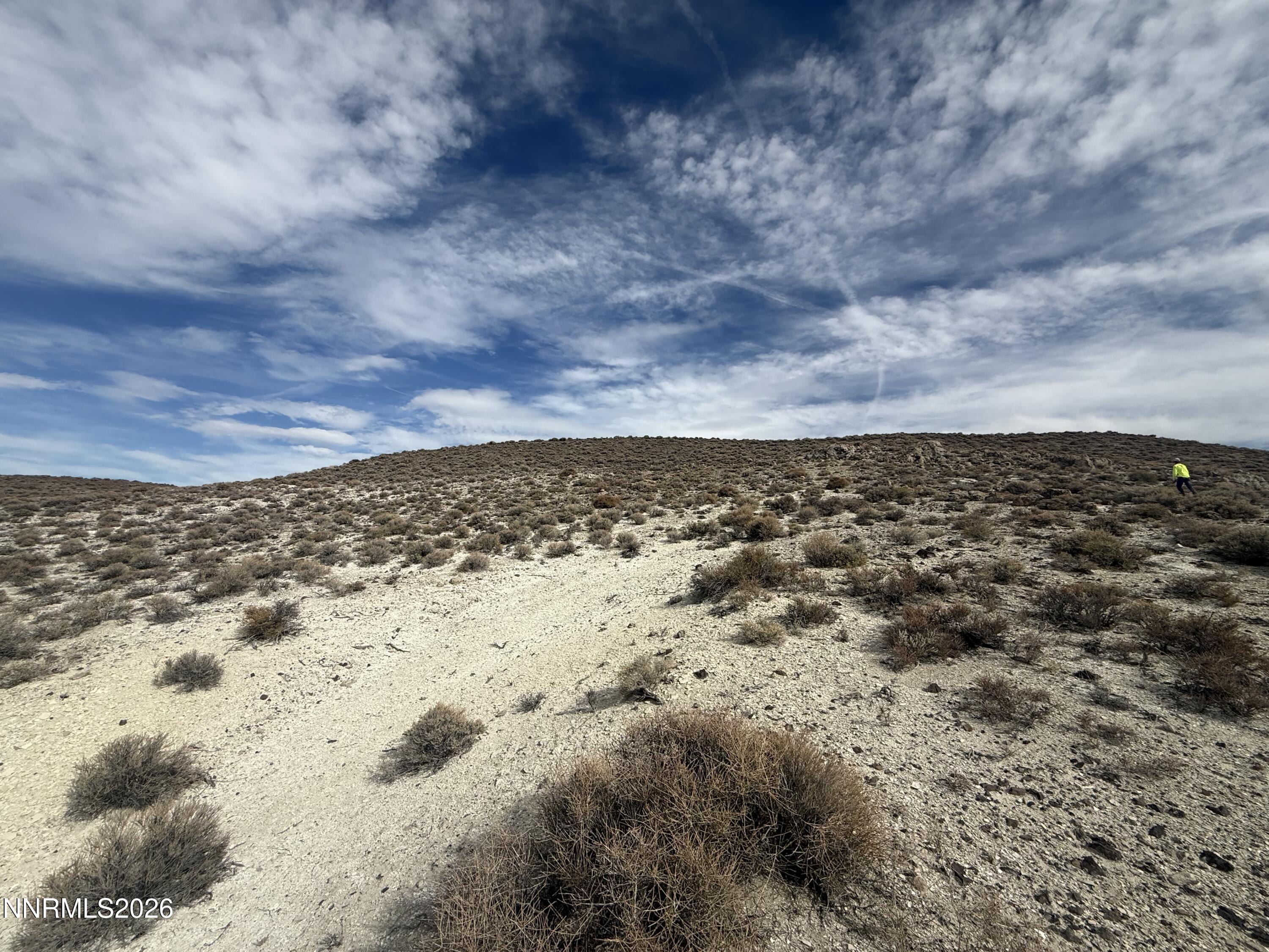 02144110 Parcel Property Photo 6