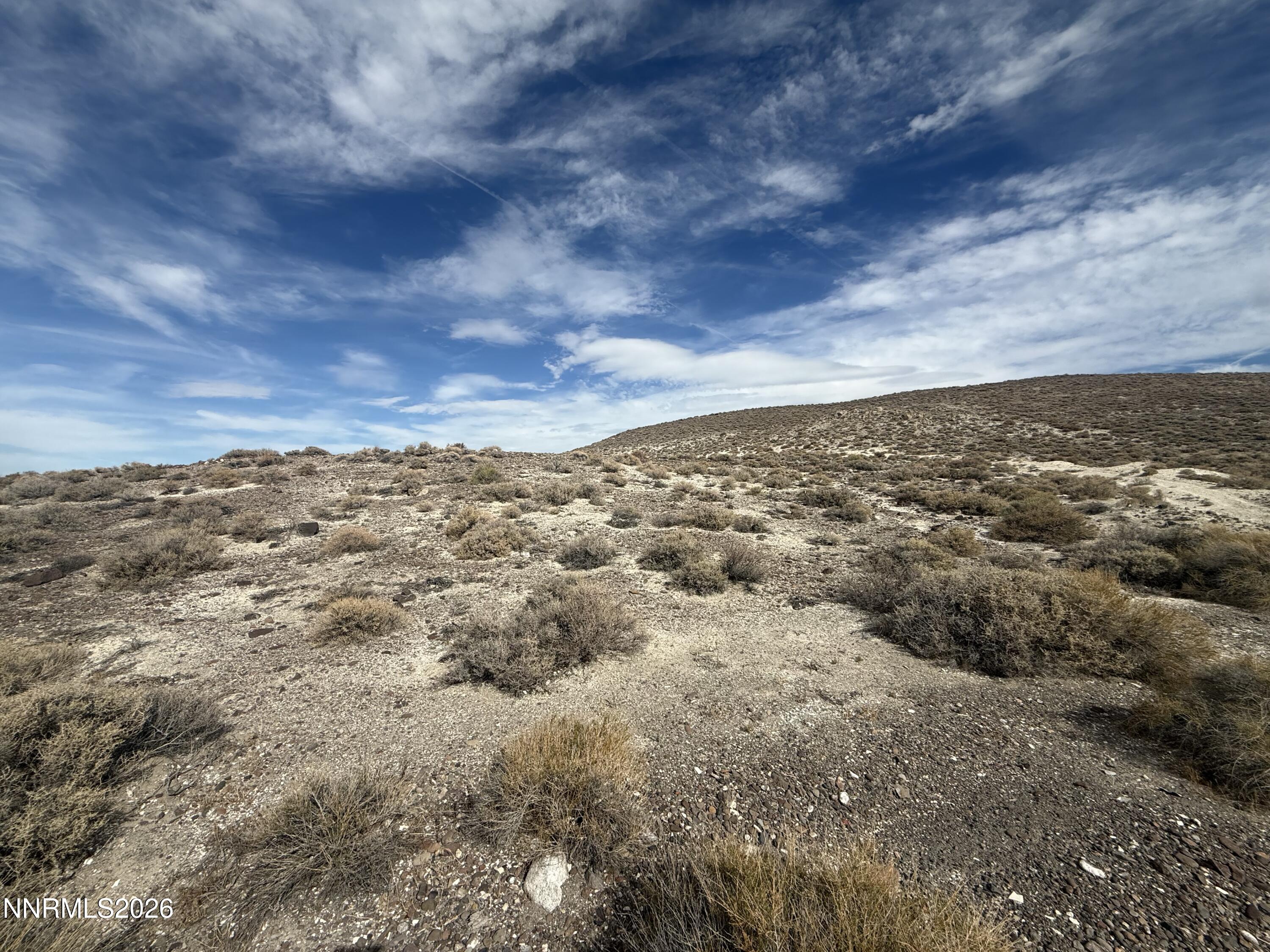 02144110 Parcel Property Photo 13