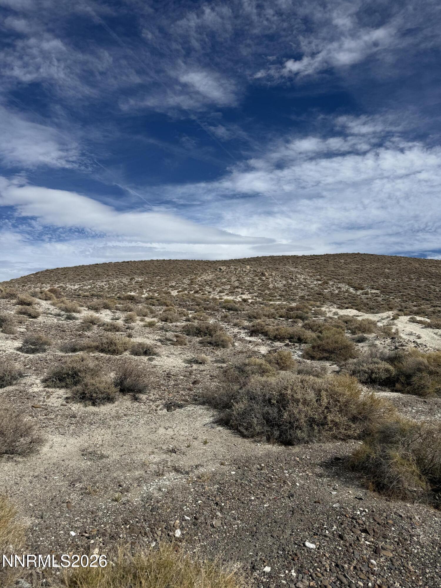 02144110 Parcel Property Photo 16