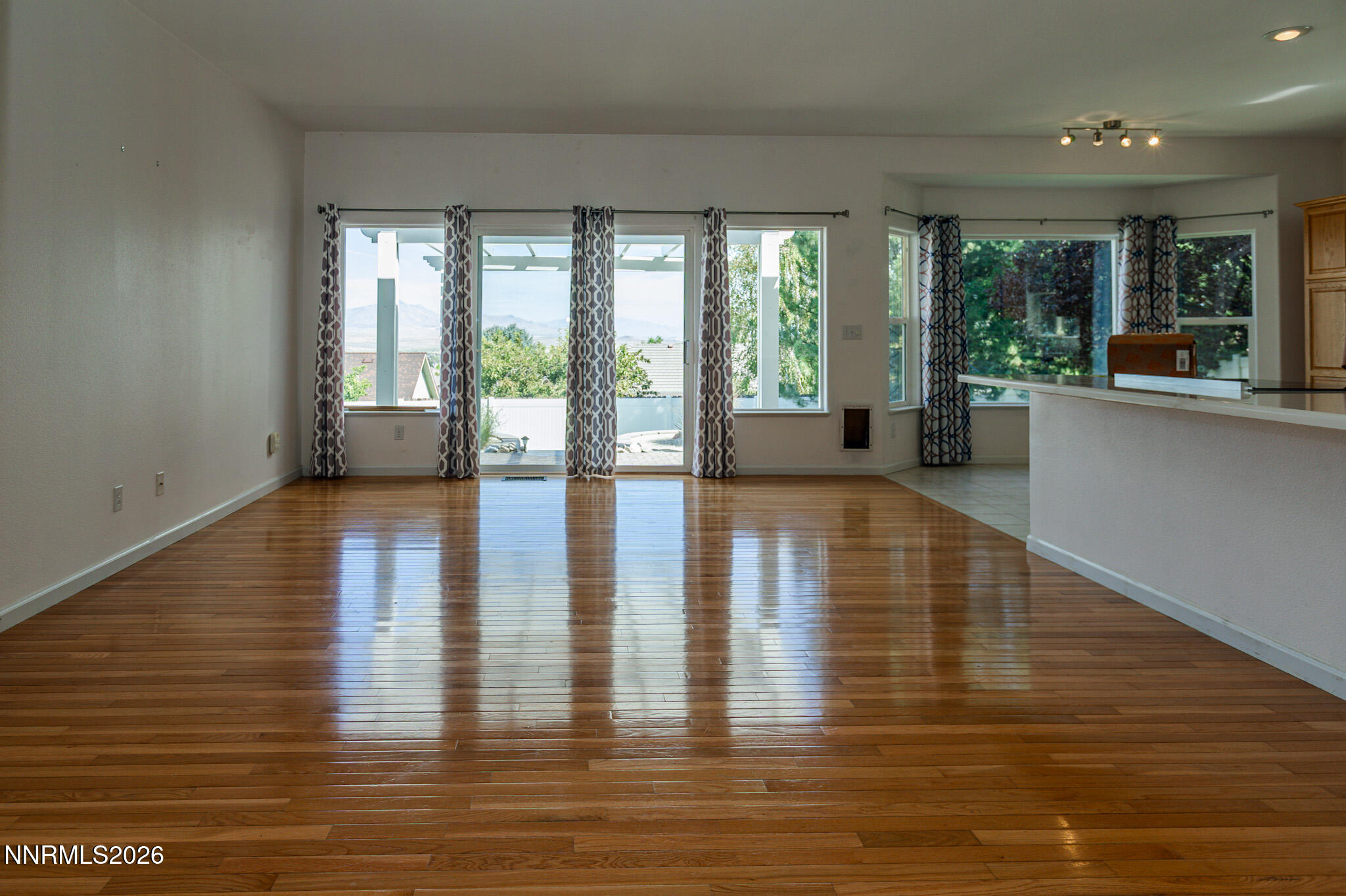 5335 Snowy Mountain Drive Property Photo 6