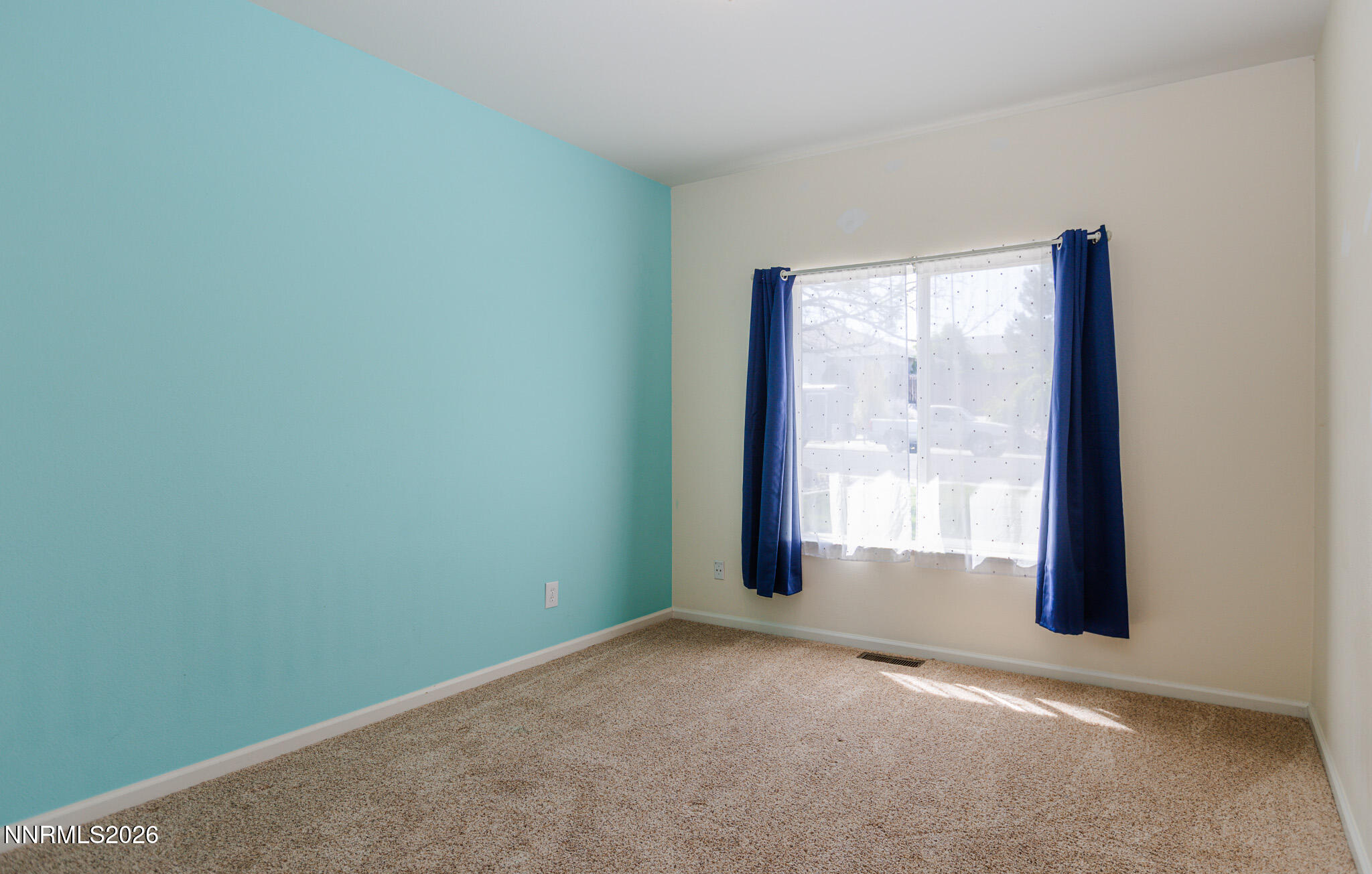 5335 Snowy Mountain Drive Property Photo 14