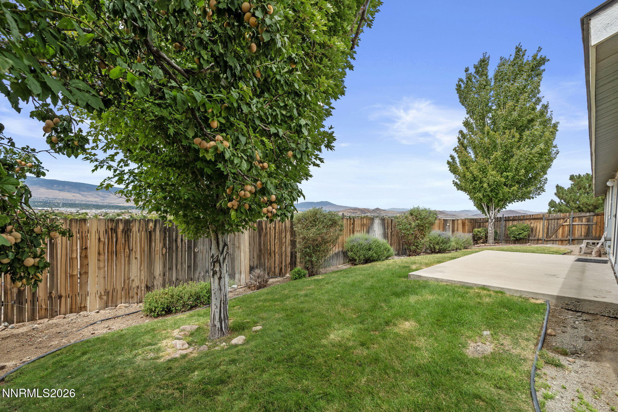 8870 Western Skies Drive Property Photo 39