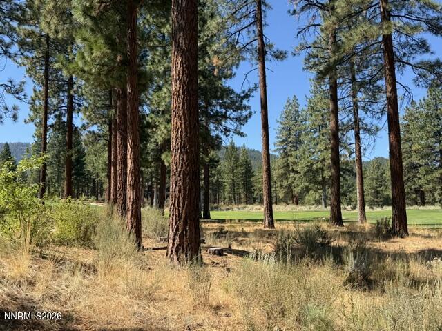3288 Summit Camp Way Property Photo 2