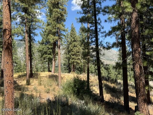 3288 Summit Camp Way Property Photo 3