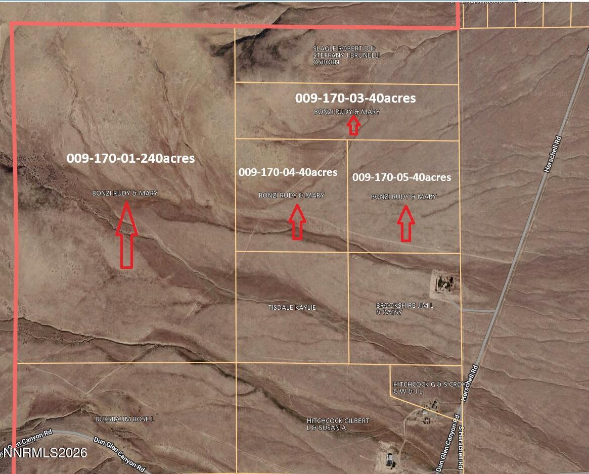 40 Acres Dun Glen Canyon Rd-herschell Rd 03 Road Property Photo 3