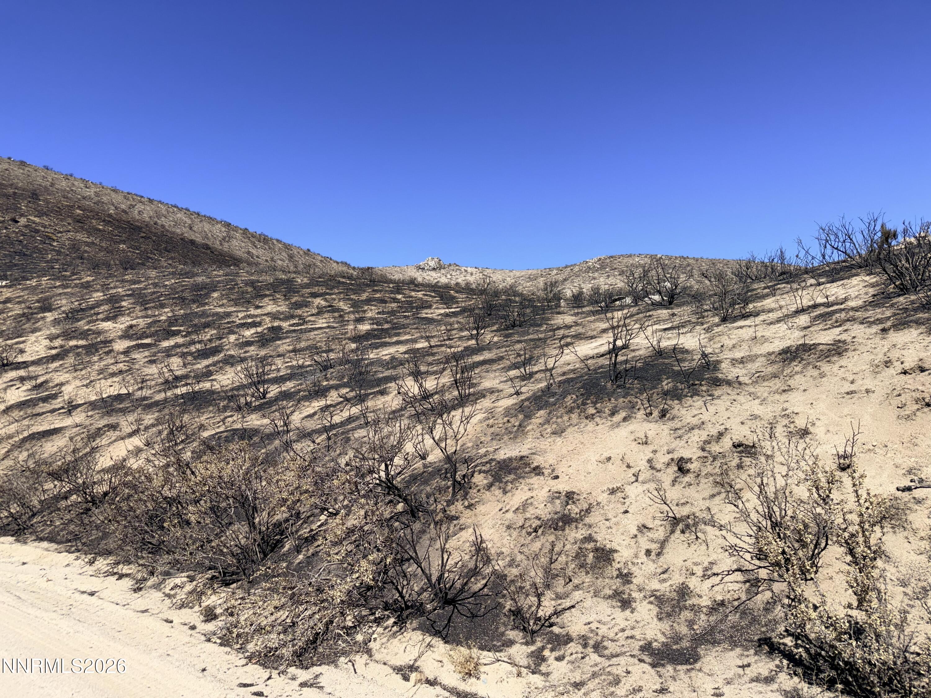 13205 N Red Rock Road Property Photo 21