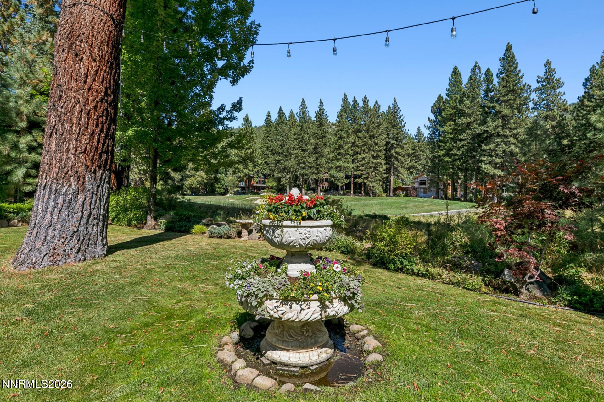 260011289 Property Photo 47