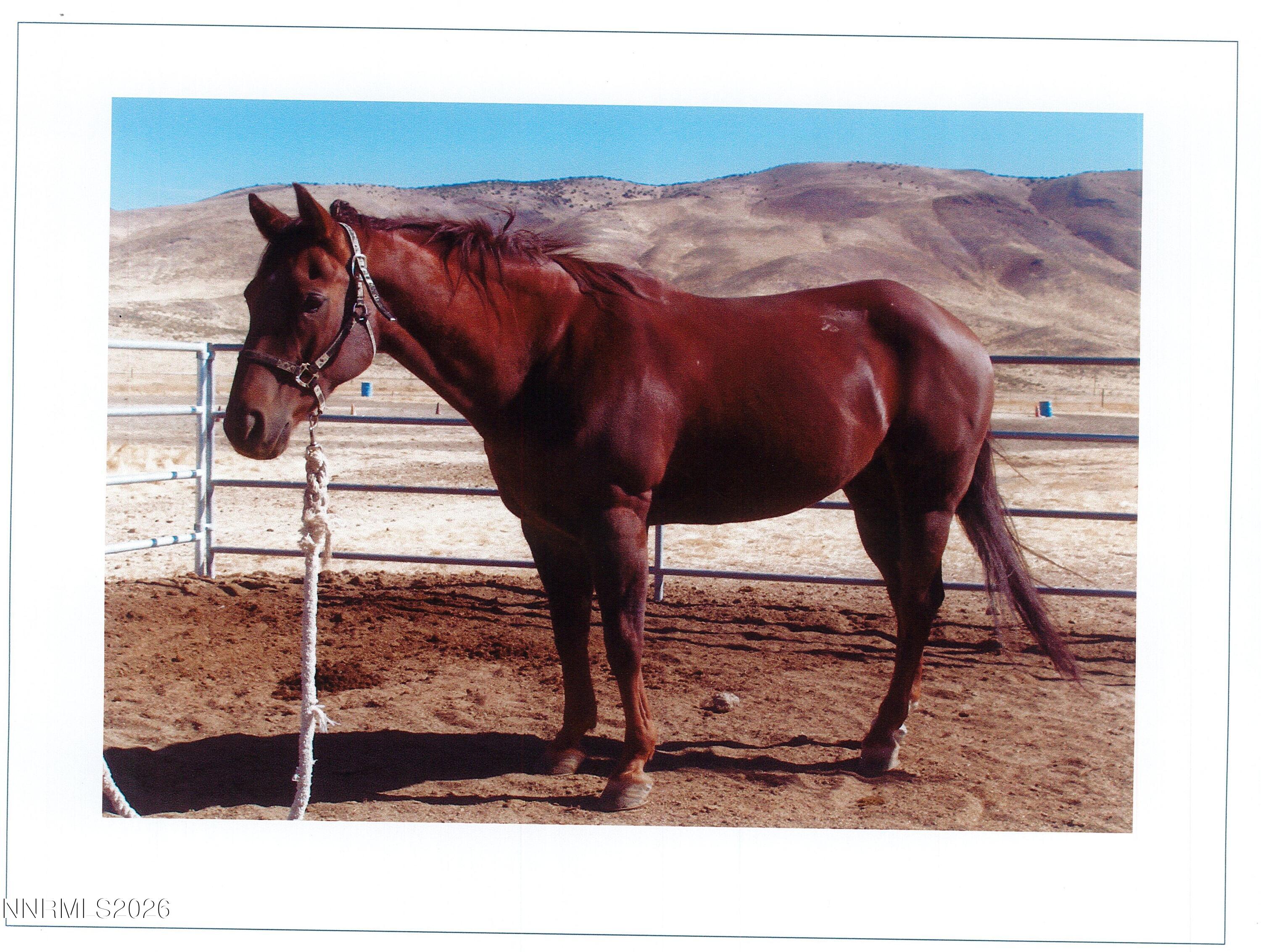 16500 Pyramid Highway Property Photo 56