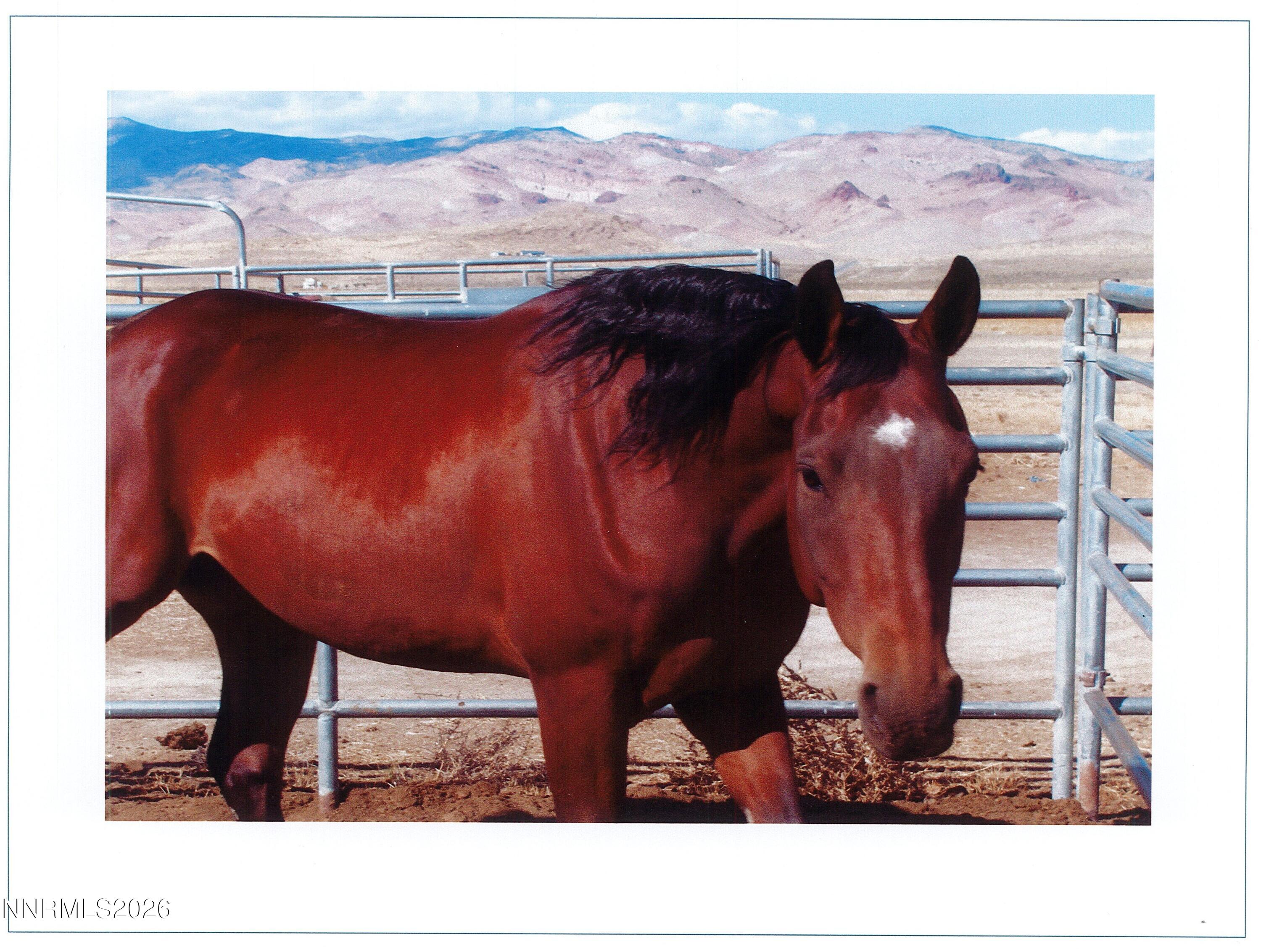 16500 Pyramid Highway Property Photo 57