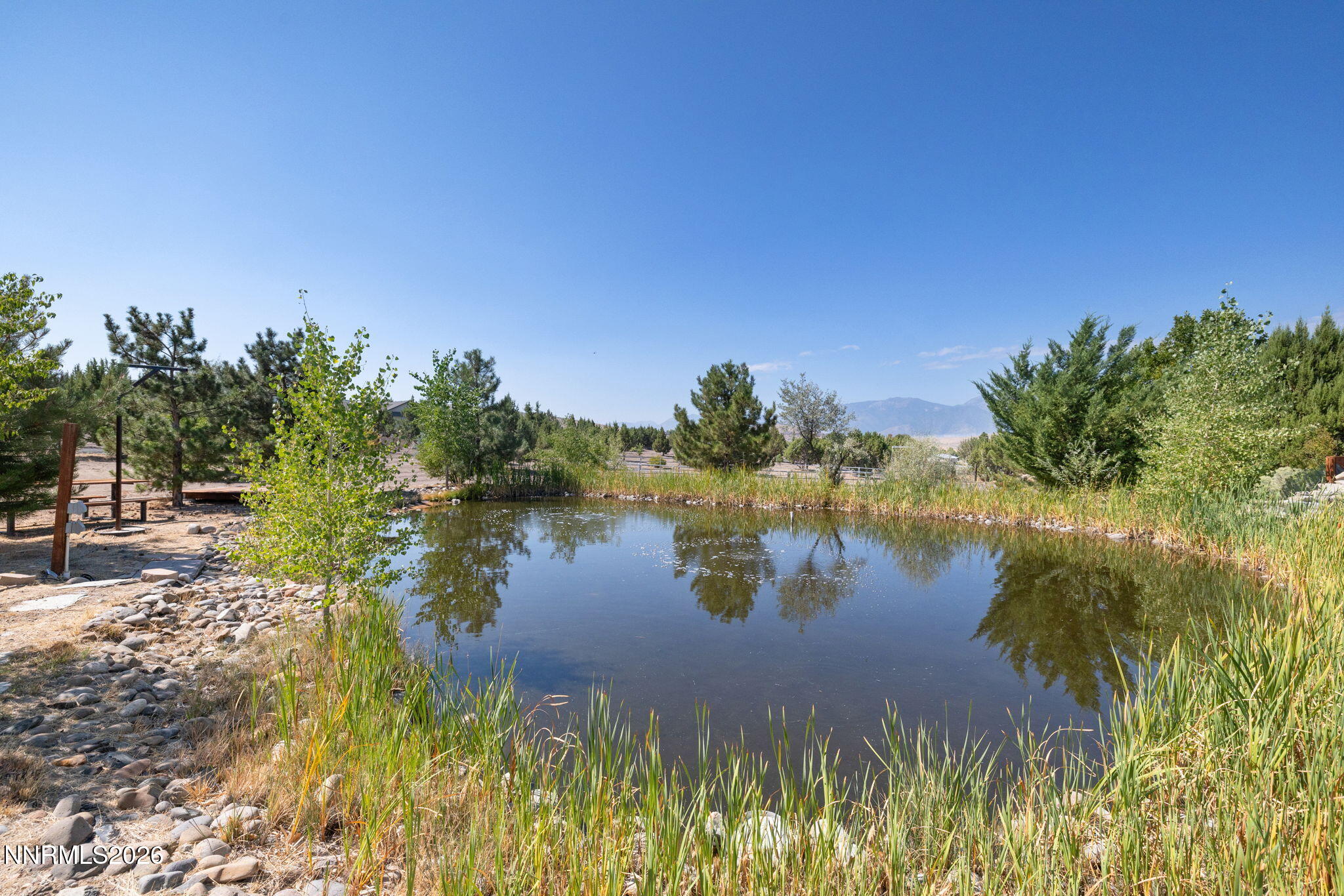 665 Rocking Horse Road Property Photo 49