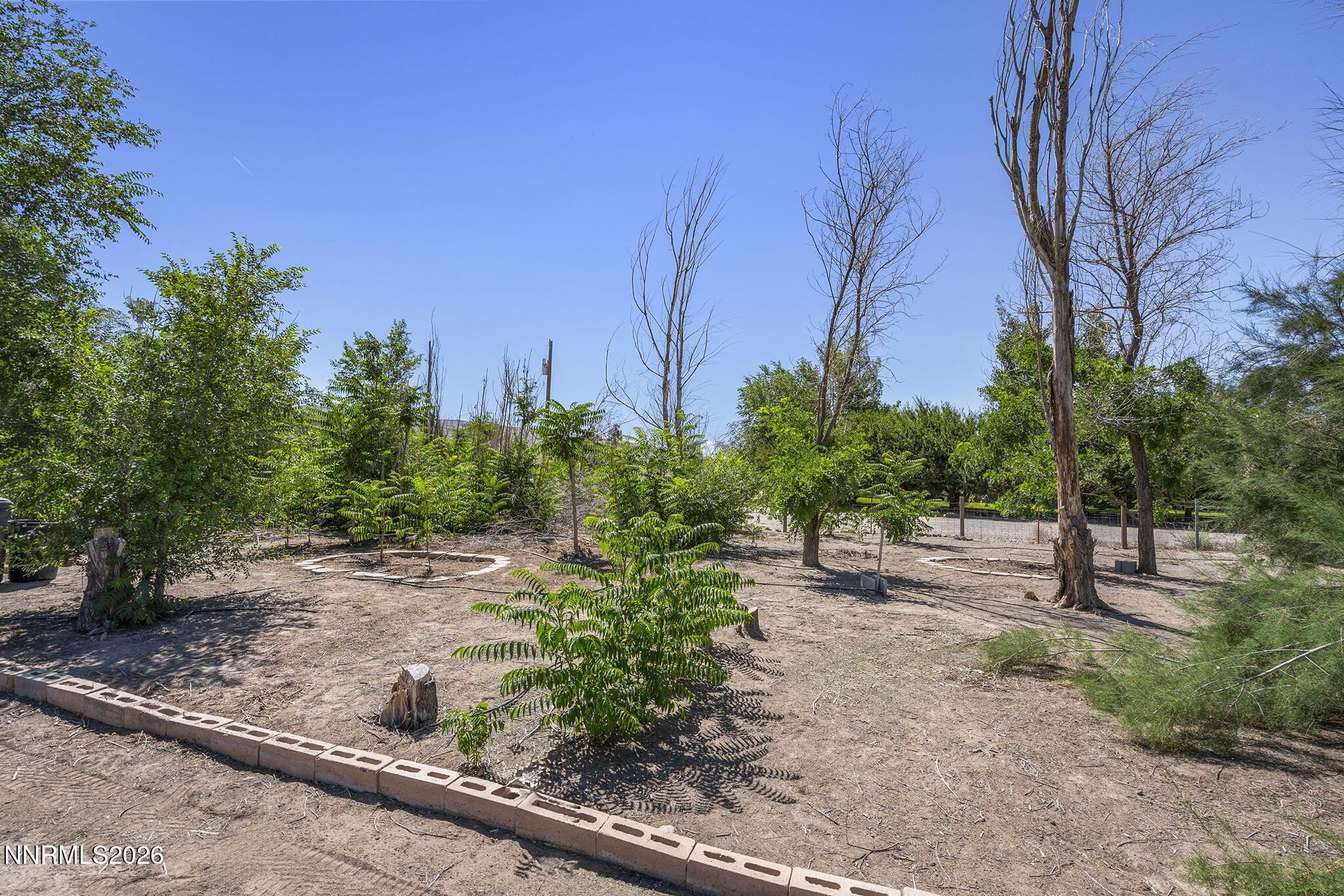 8780 Calico Trail Property Photo 21