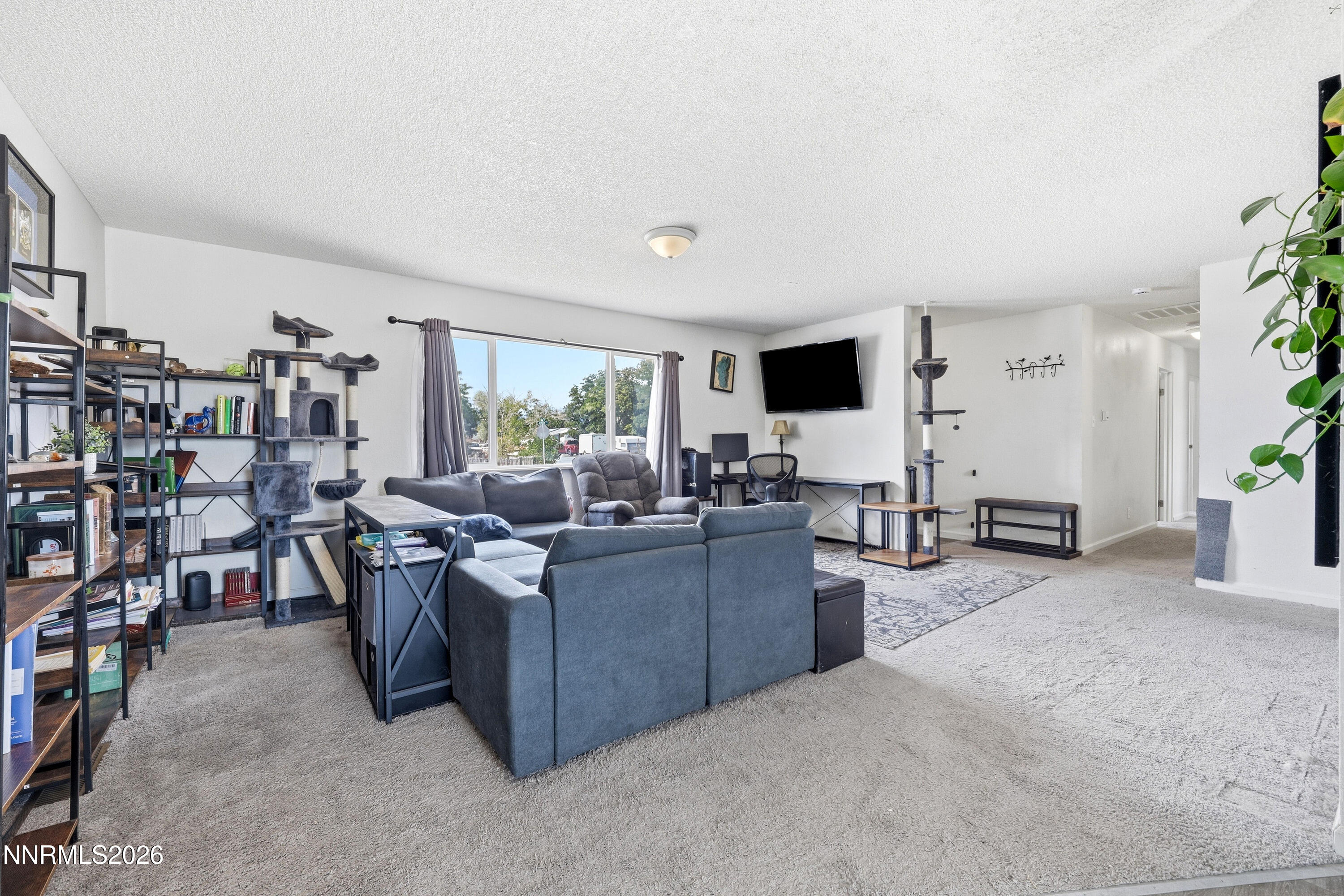 45 Arrow Street Property Photo 17