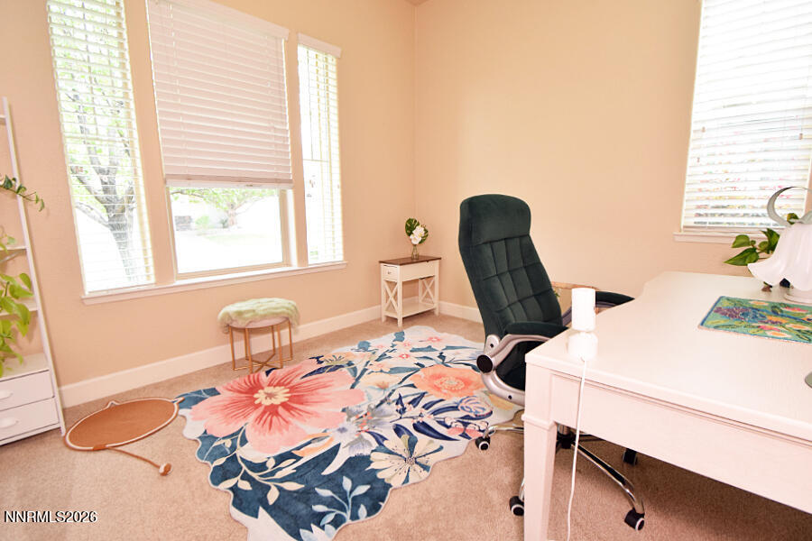 6029 Quintessa Drive Property Photo 37