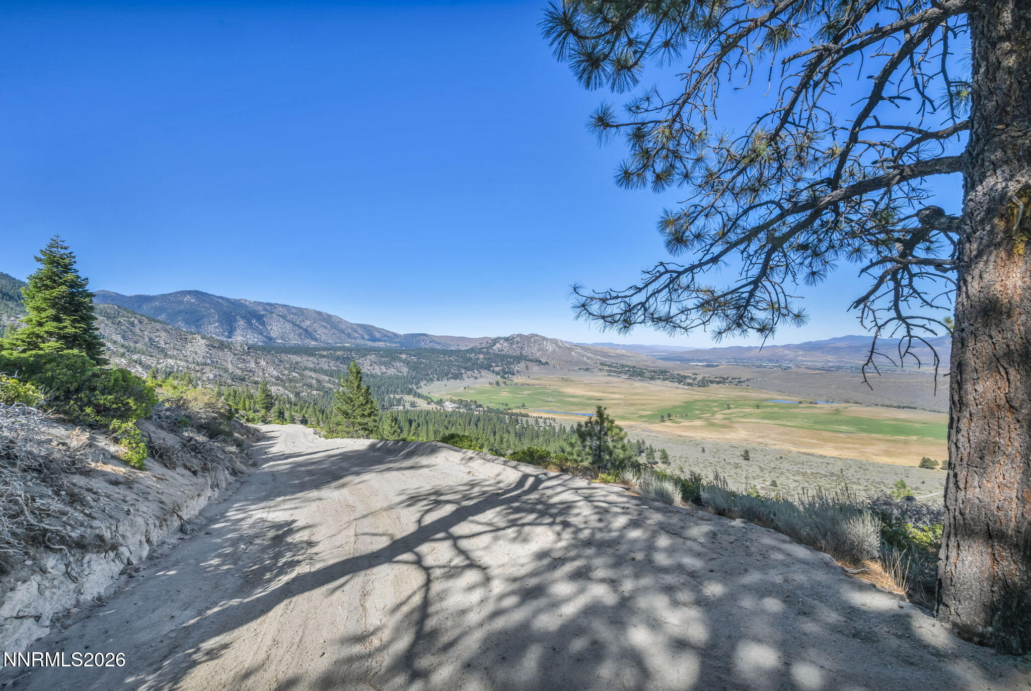 2960 Jacks Valley Road Property Photo 16