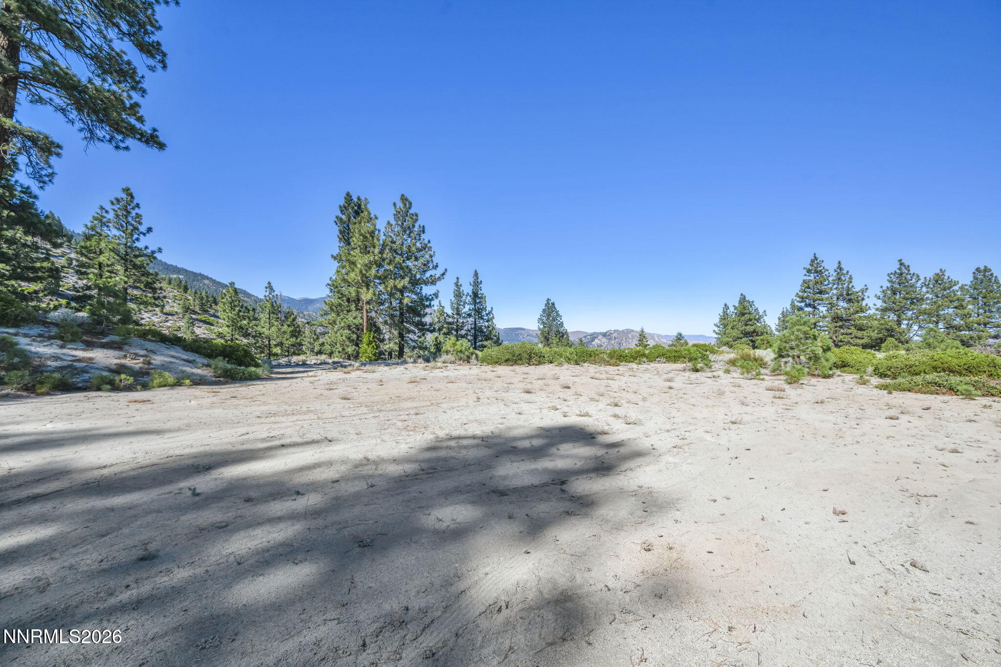2960 Jacks Valley Road Property Photo 24