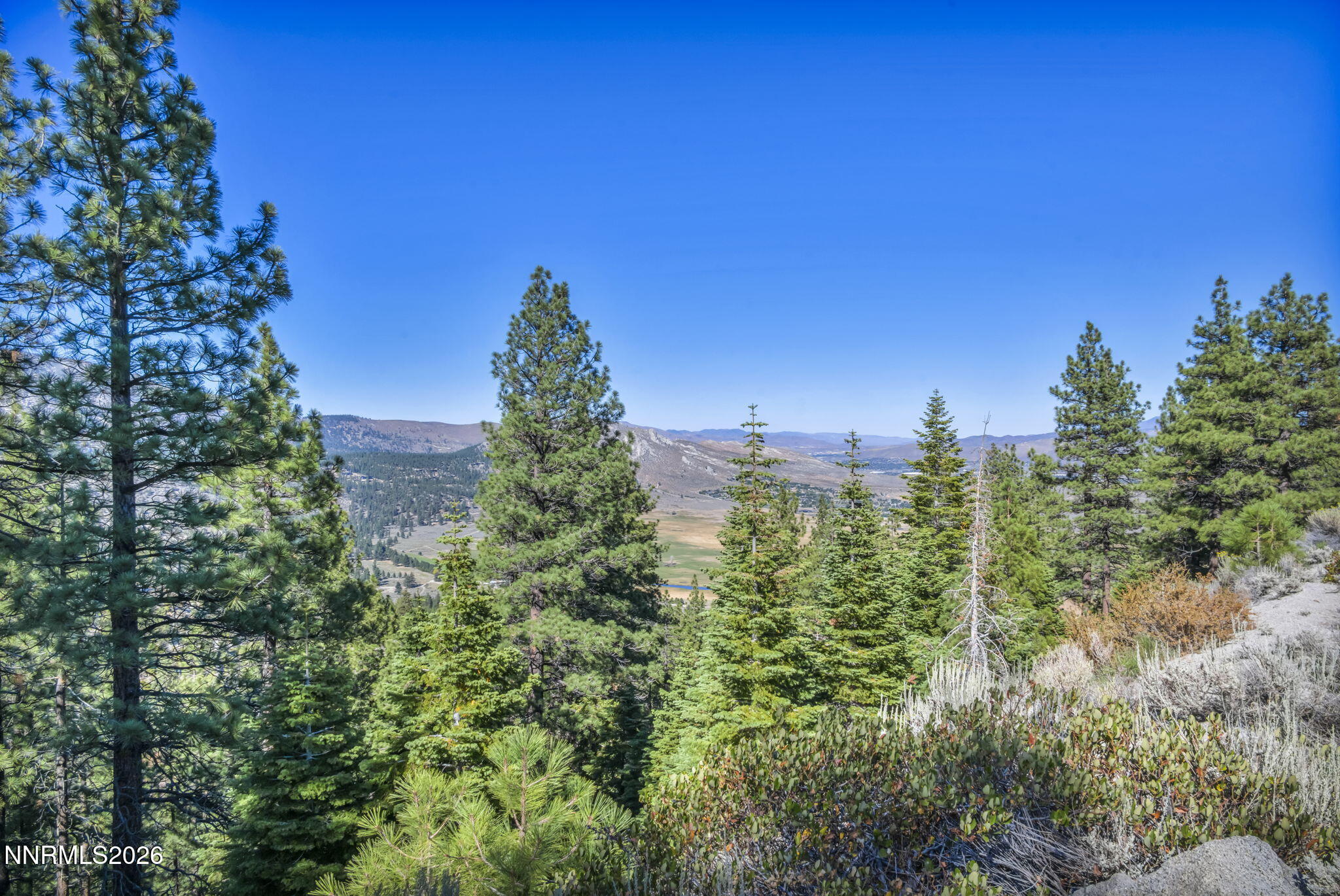 2960 Jacks Valley Road Property Photo 26