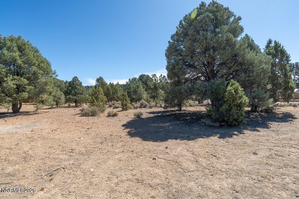 2291 Empire Road Property Photo 38
