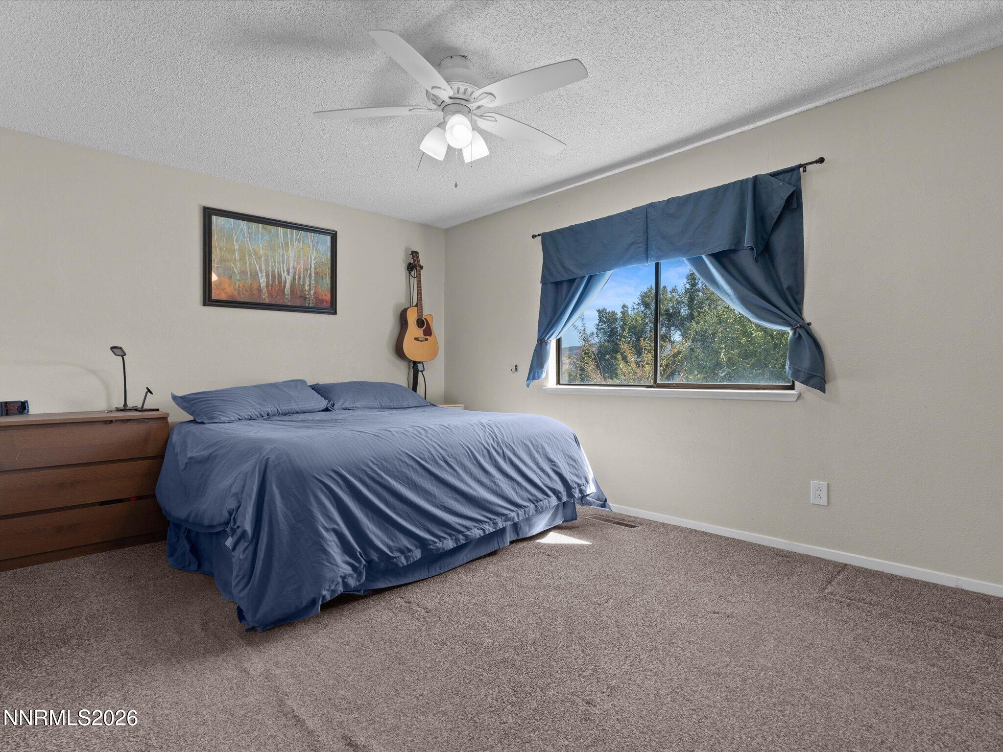 4054 Furnace Creek Drive Property Photo 18