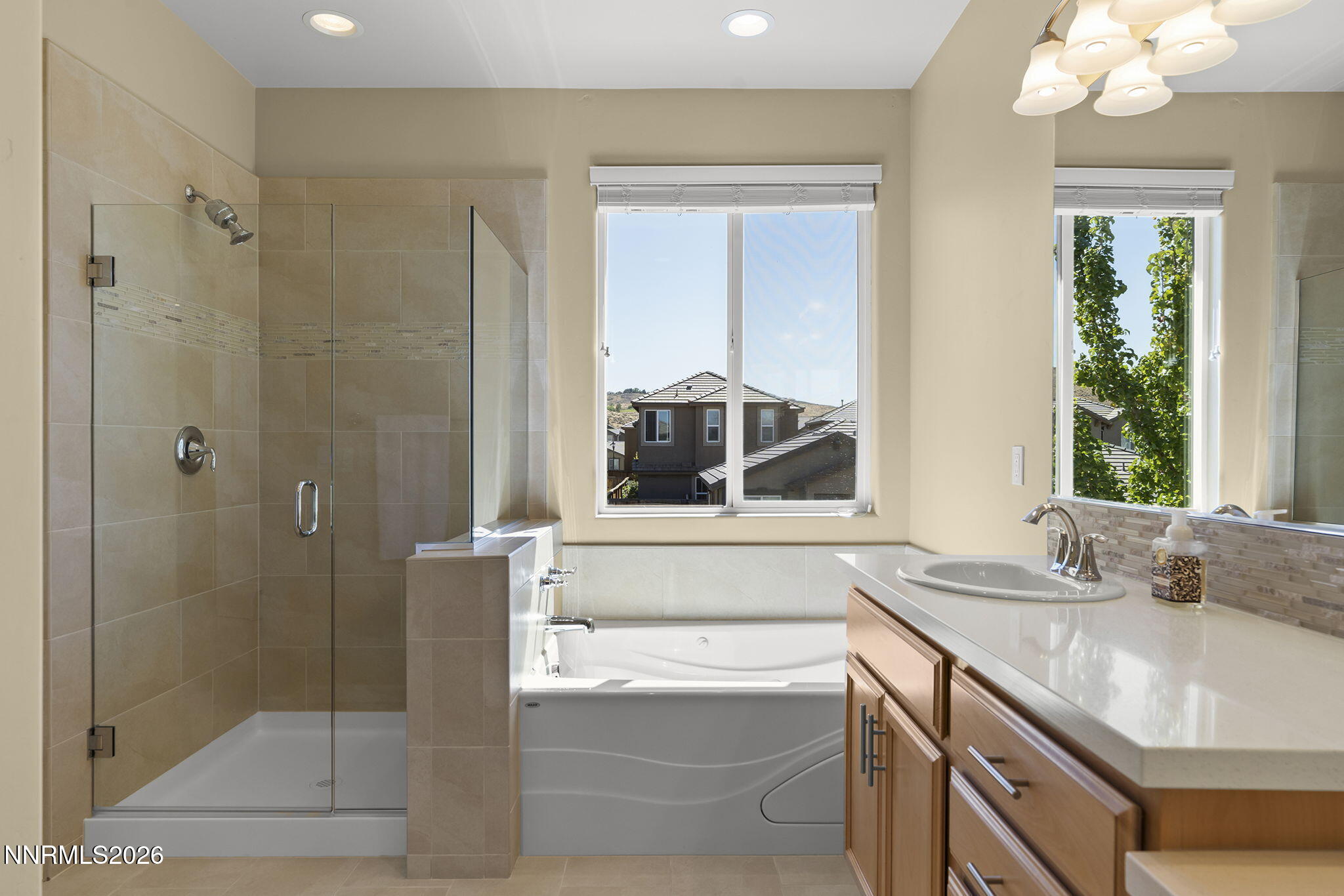 6650 Russian Thistle Drive Property Photo 18
