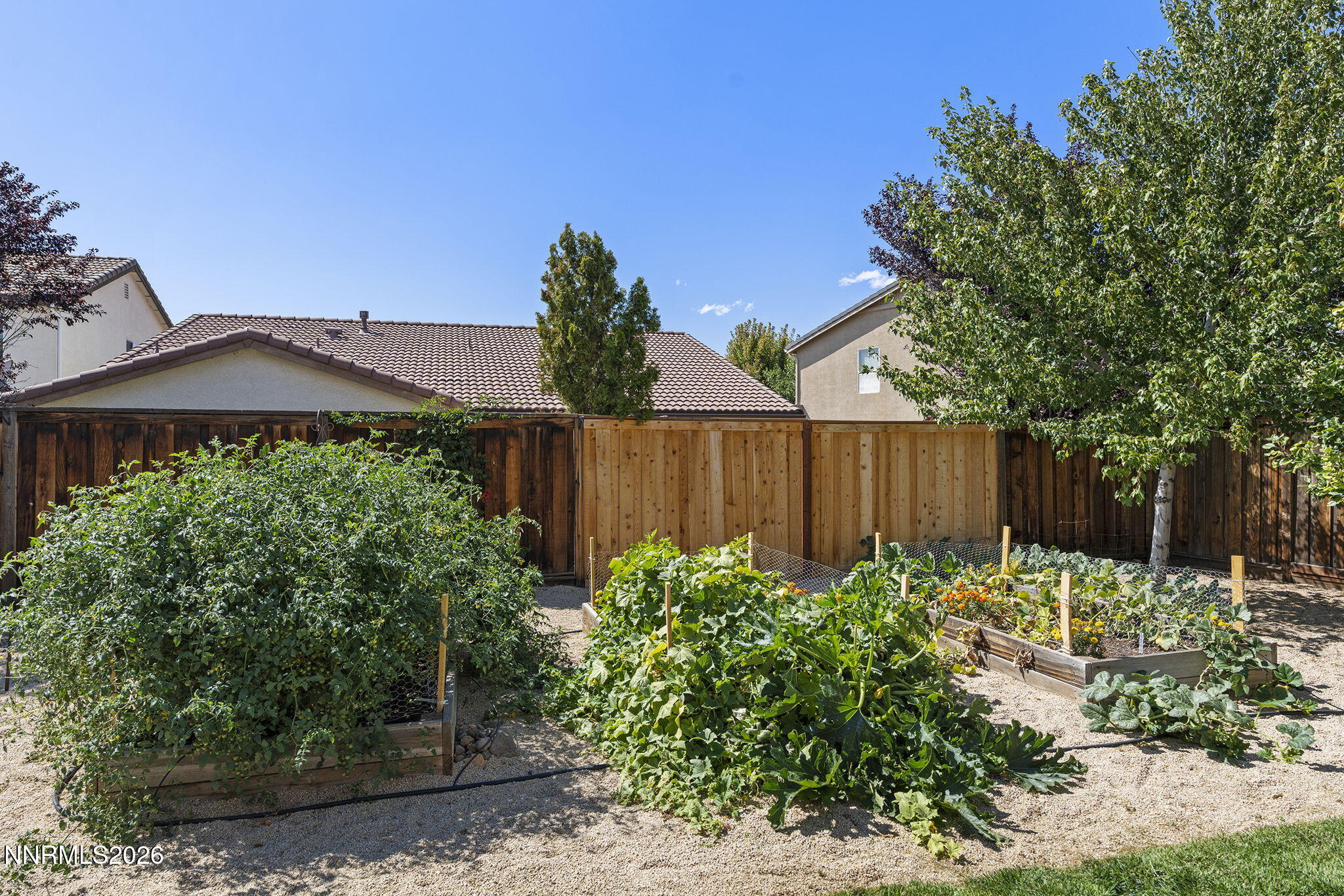 11565 Verazae Drive Property Photo 28