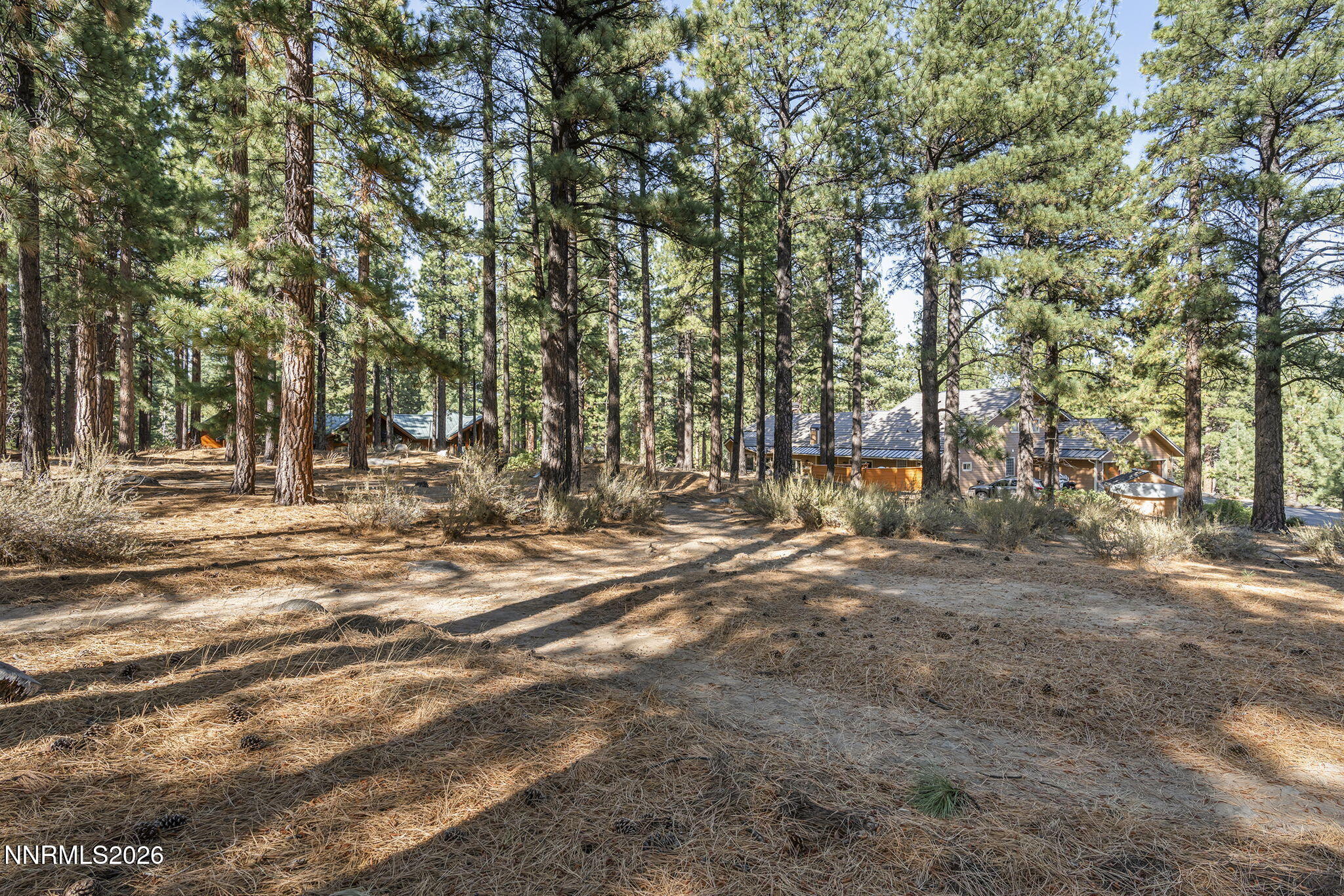 1530 Austrian Pine Road Property Photo 41
