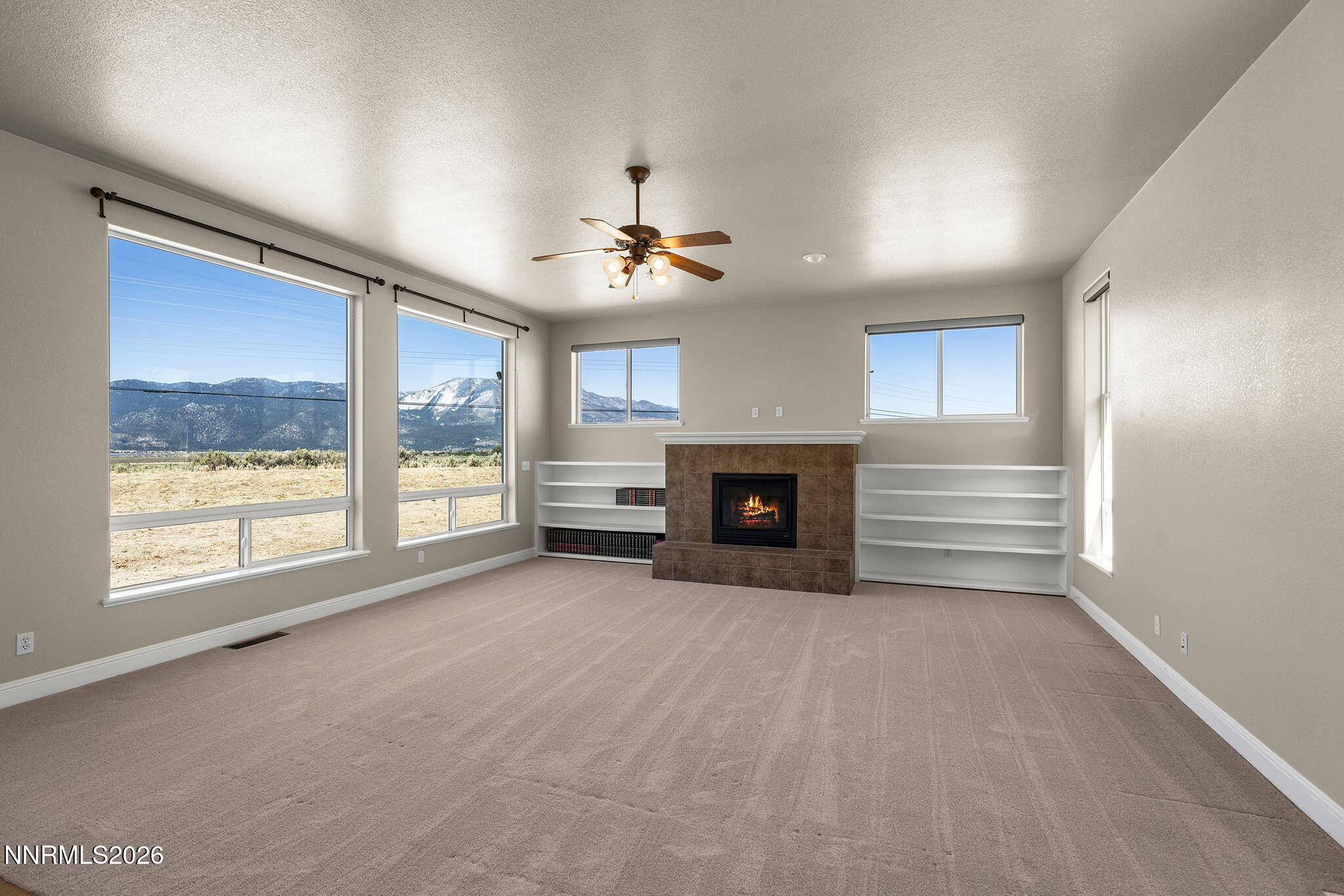 4805 Leo Bingo Court Property Photo 4
