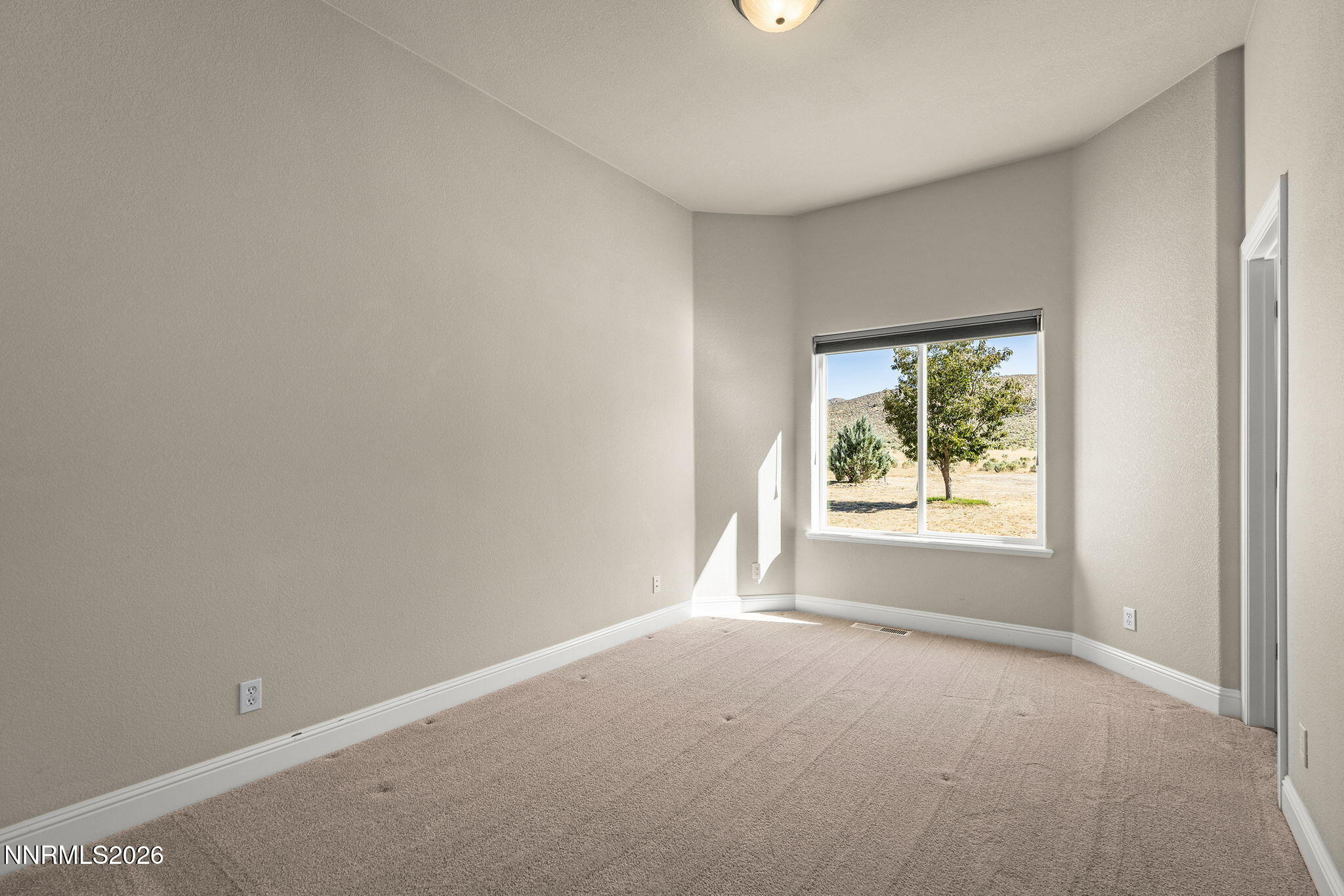 4805 Leo Bingo Court Property Photo 28