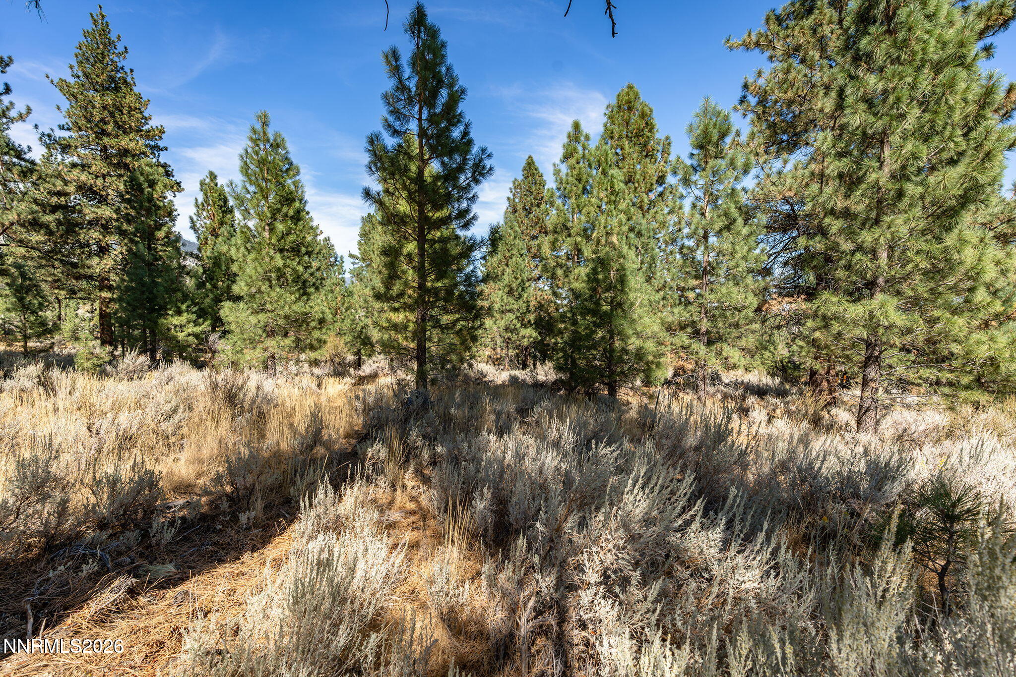 900 Stutler Creek Court Property Photo 6
