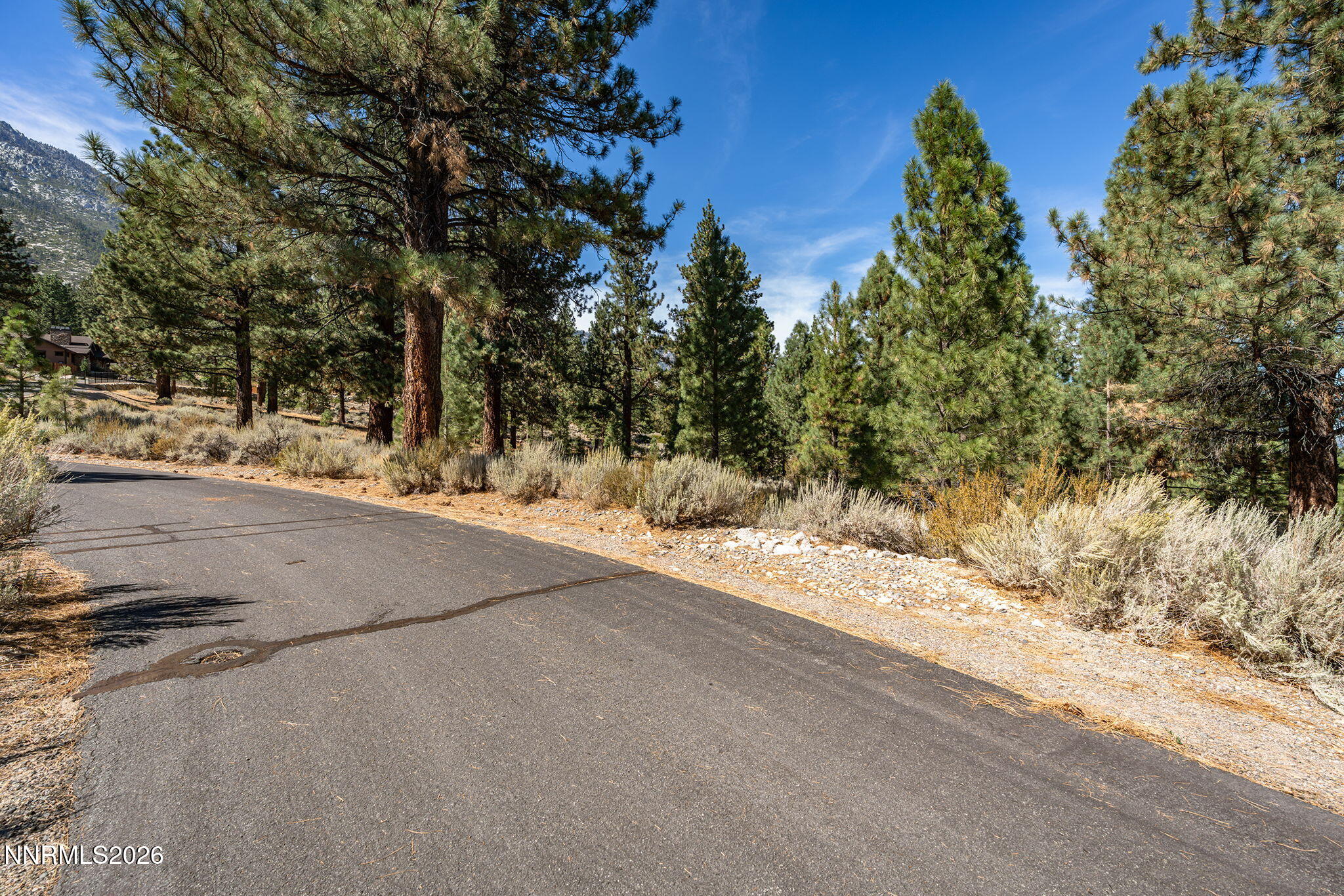 900 Stutler Creek Court Property Photo 8