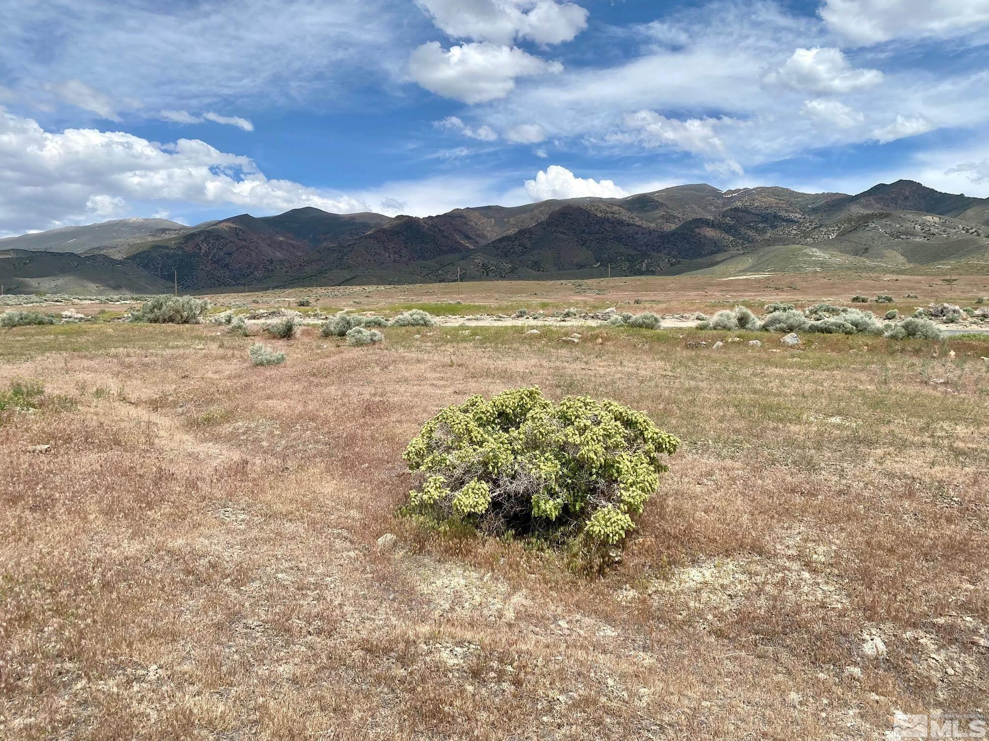 11160 Thor Court Property Photo 4