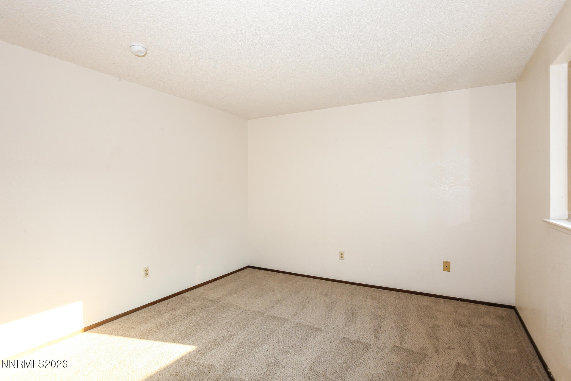 8355 Cub Court Property Photo 11