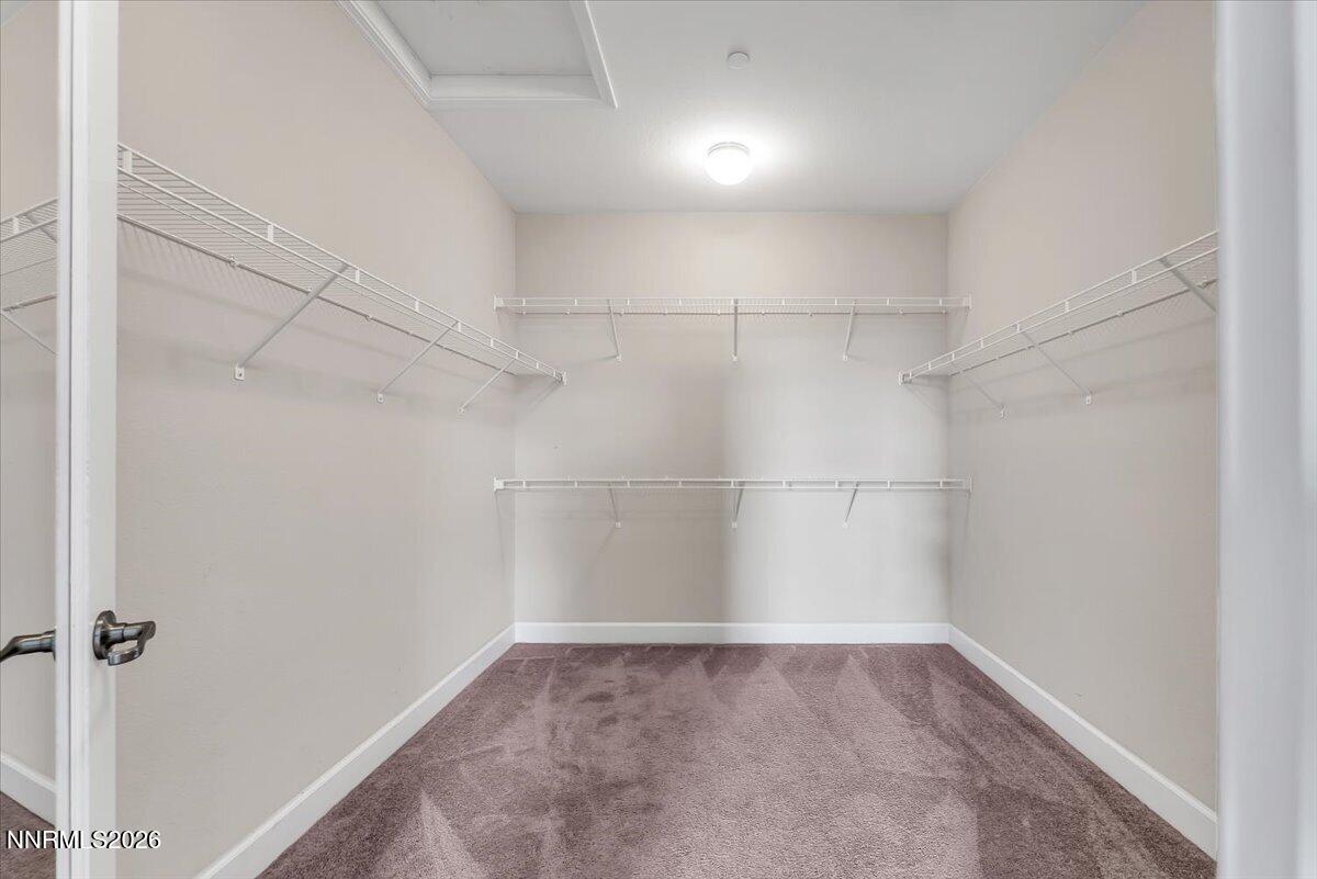 3007 Brachetto Loop Property Photo 24