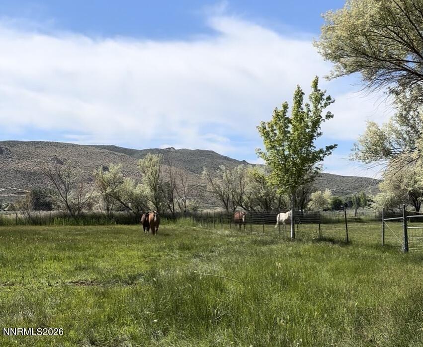 305 Rowel Circle Property Photo 37