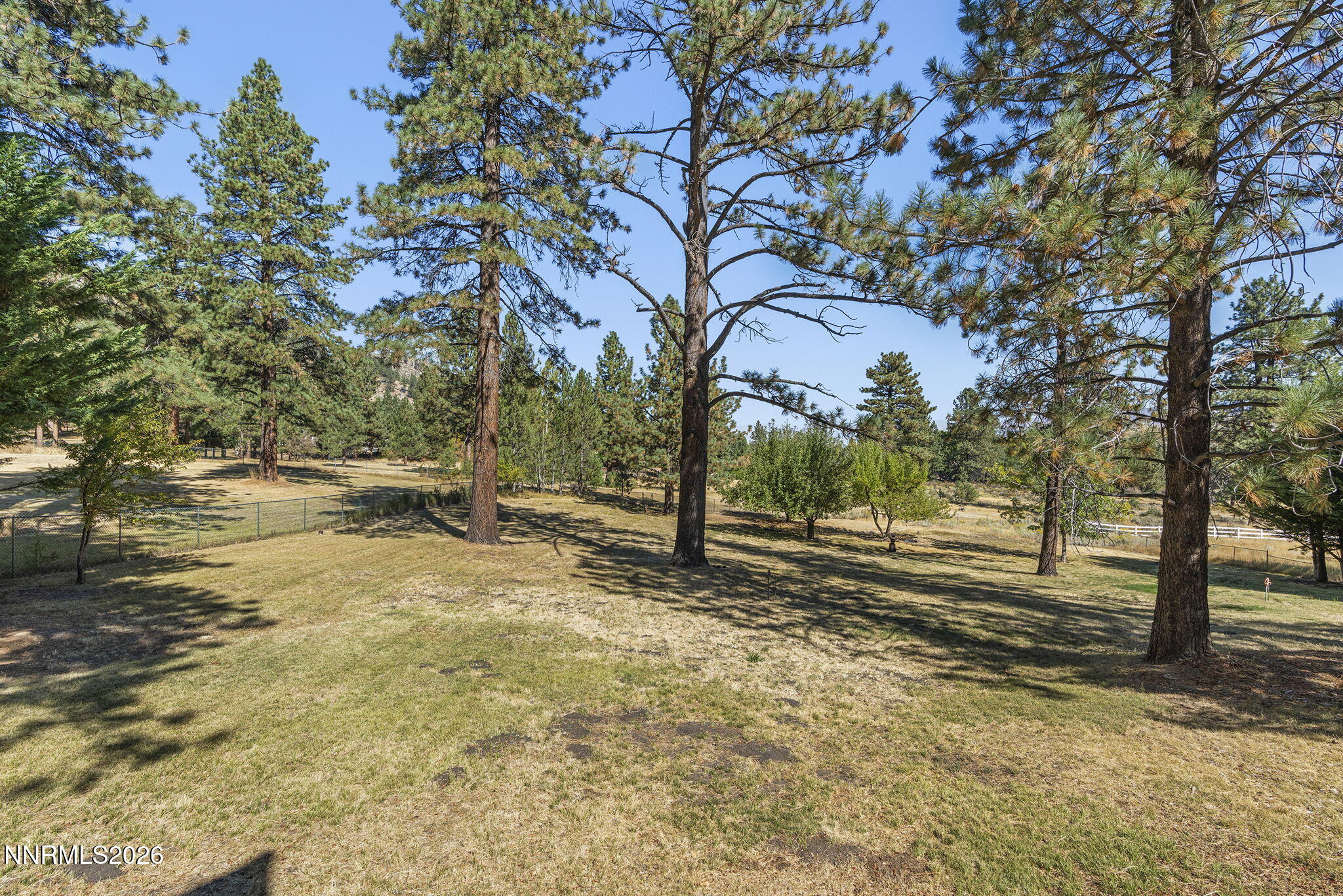 4200 Numaga Pass Road Property Photo 39