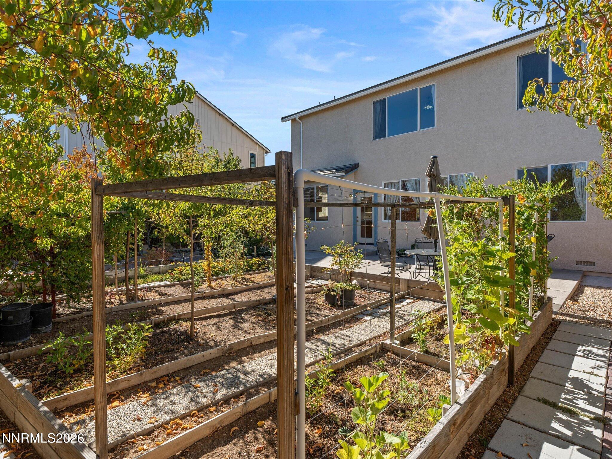 11775 Desert Grass Court Property Photo 46