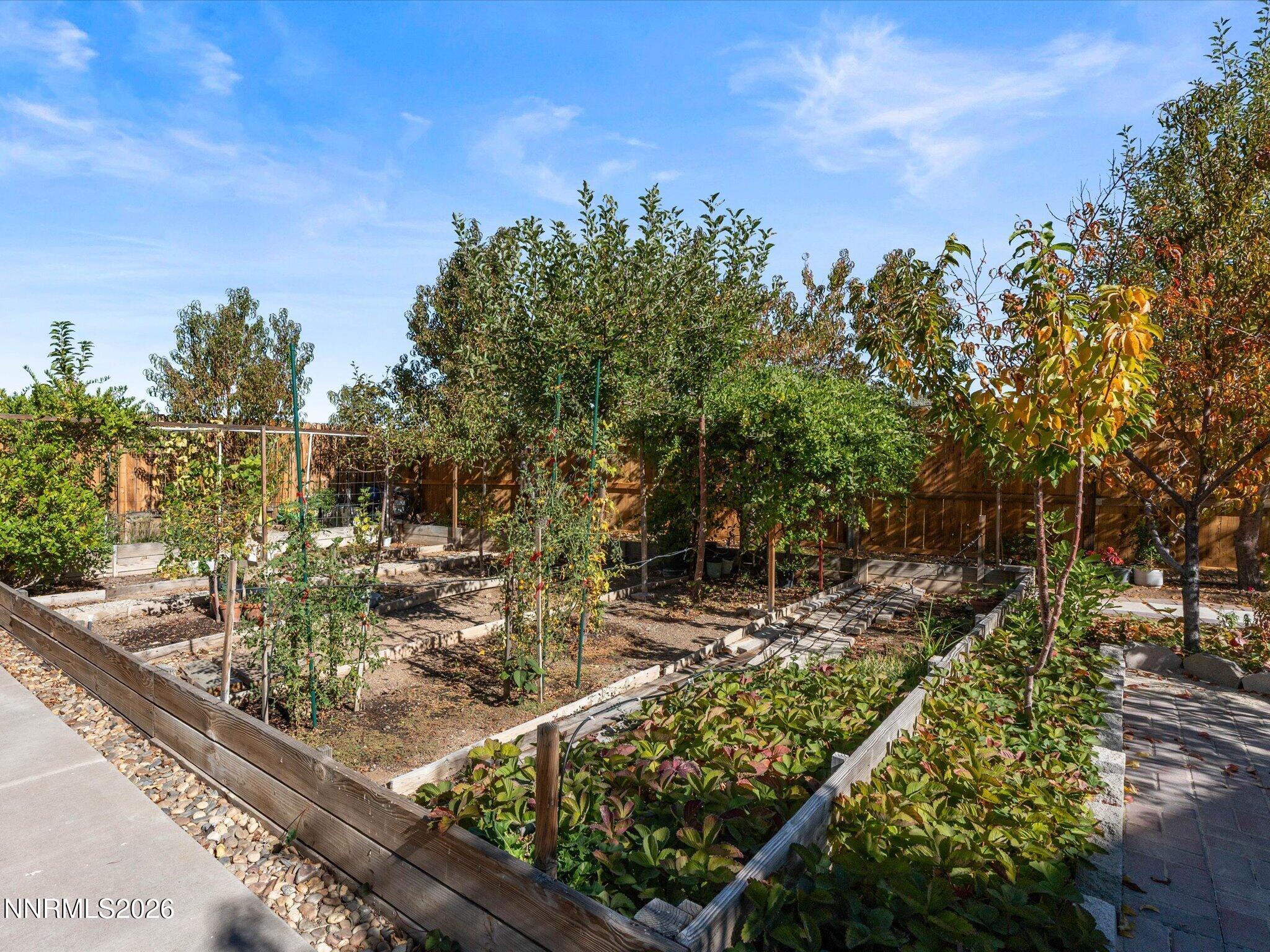 11775 Desert Grass Court Property Photo 48
