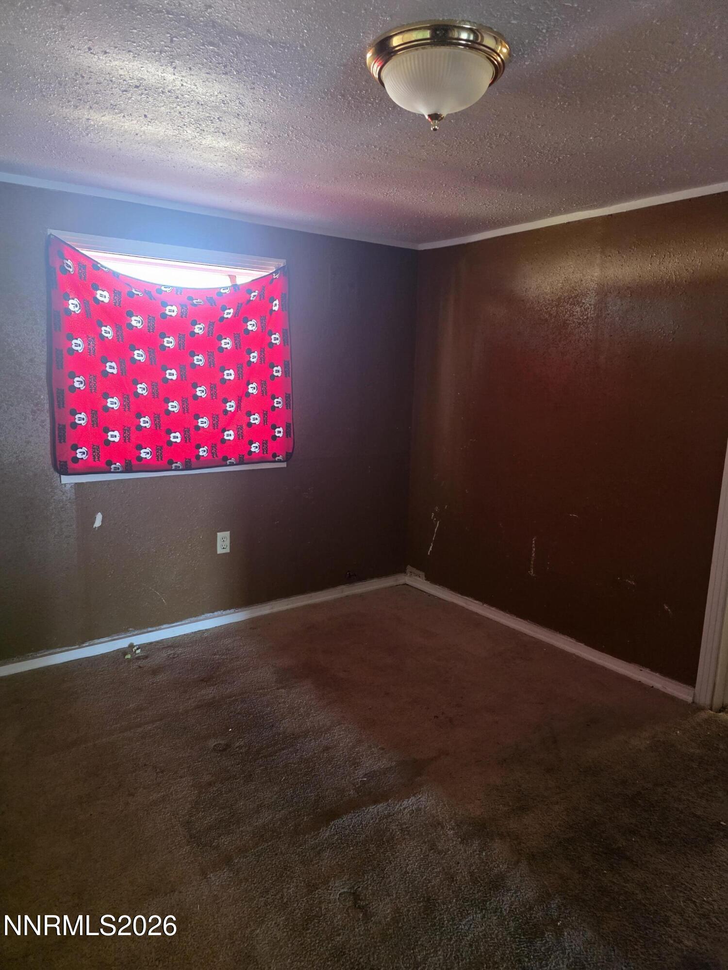 215 E Street Property Photo 19
