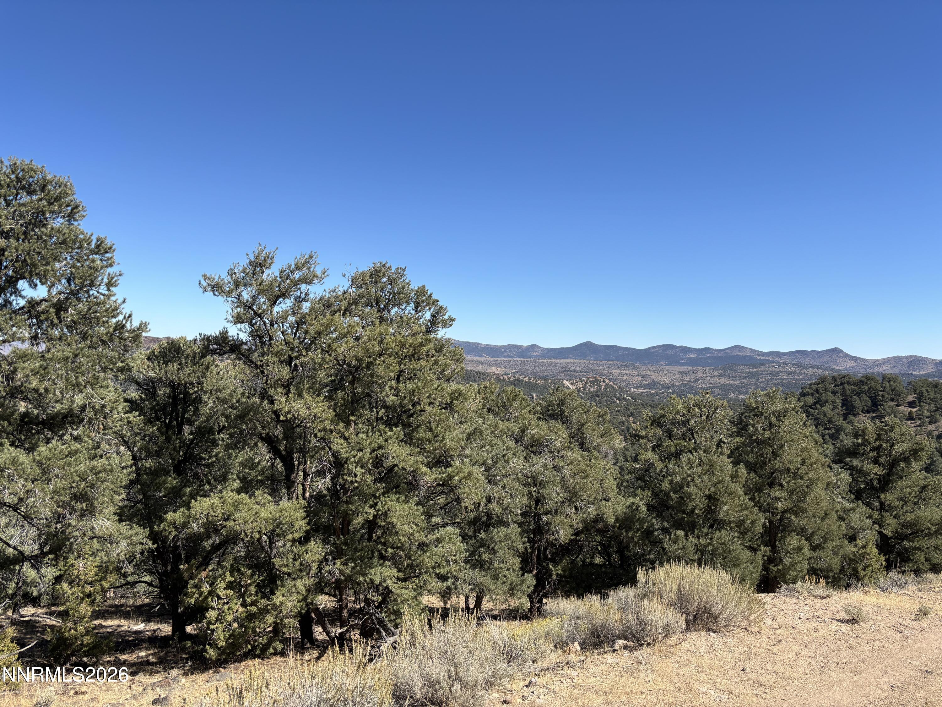 1420 Yellow Jacket Road Property Photo 2